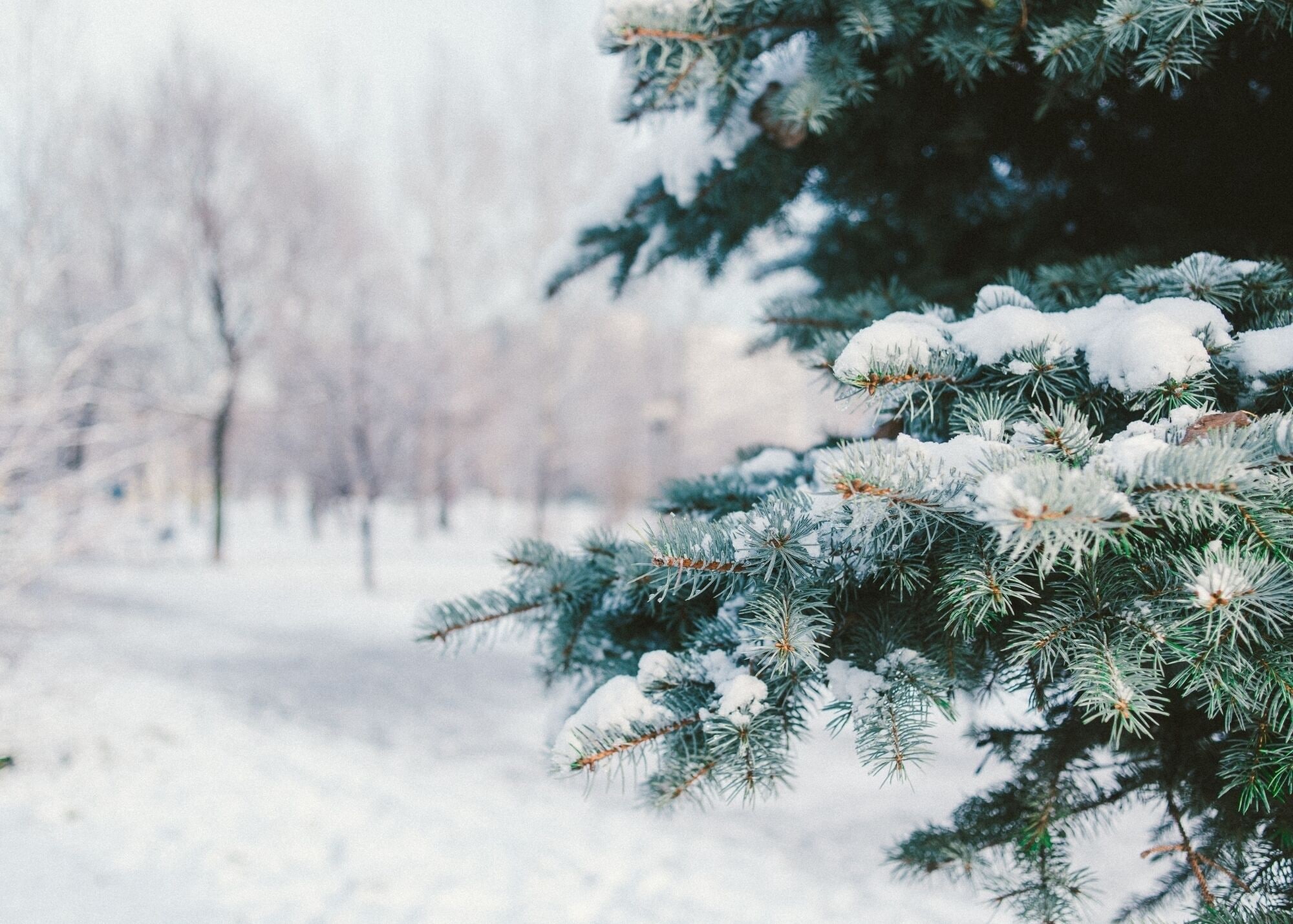 land view from property