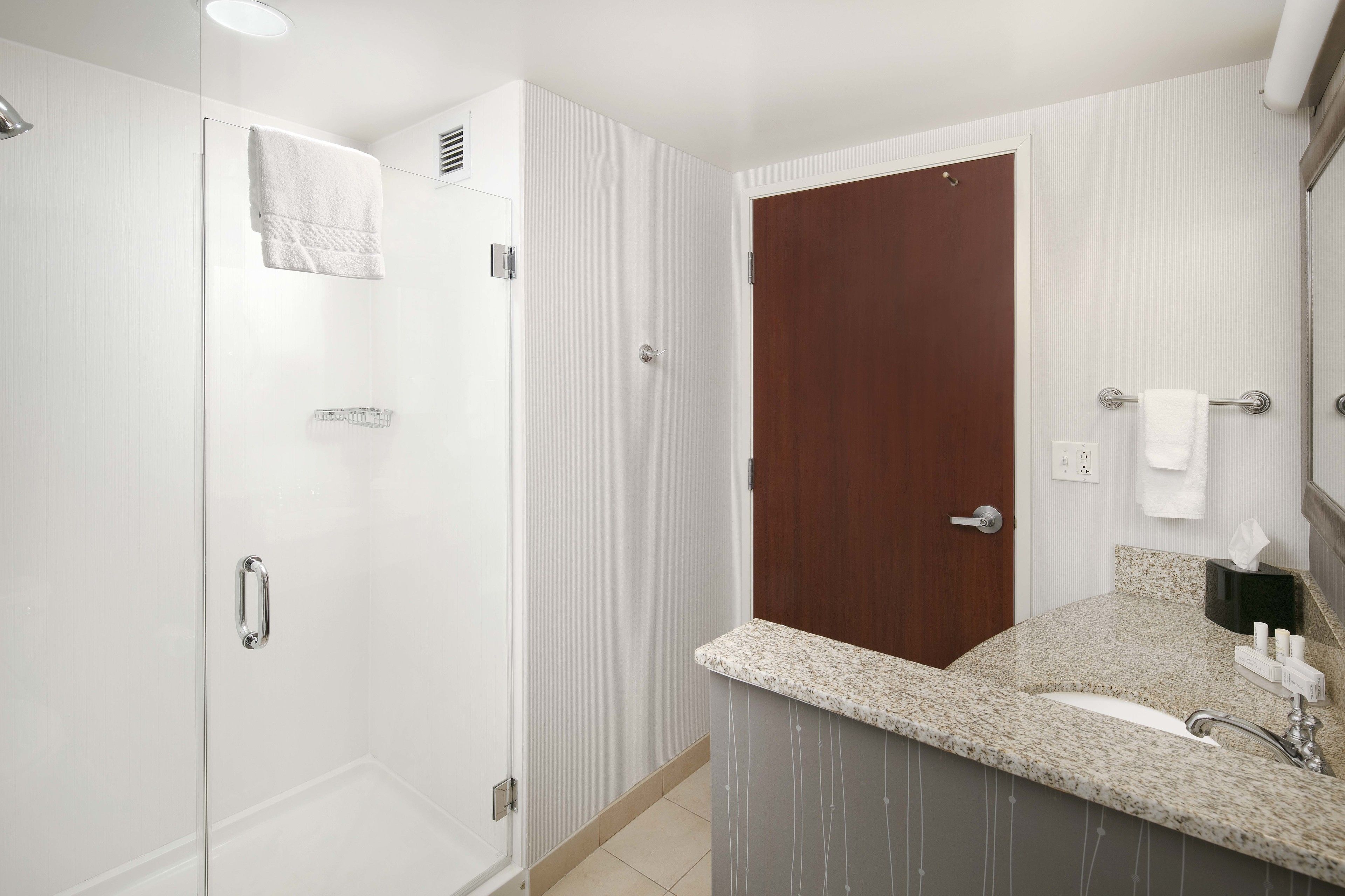 Een moderne badkamer met een glazen douchecabine, een houten deur, een wastafel met granieten blad en een spiegel boven de wastafel.