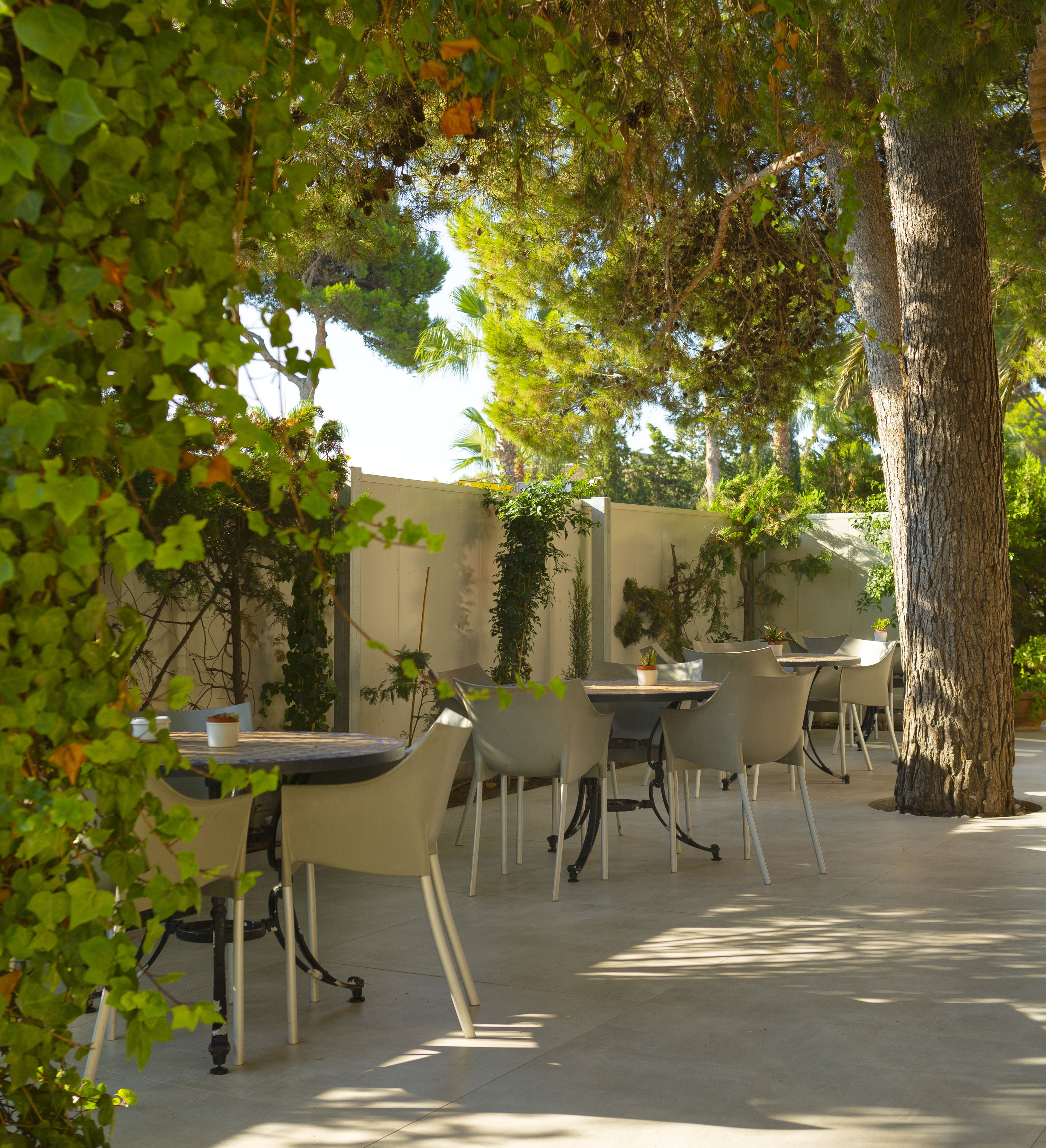 An outdoor patio area with tables and chairs, surrounded by trees and plants.