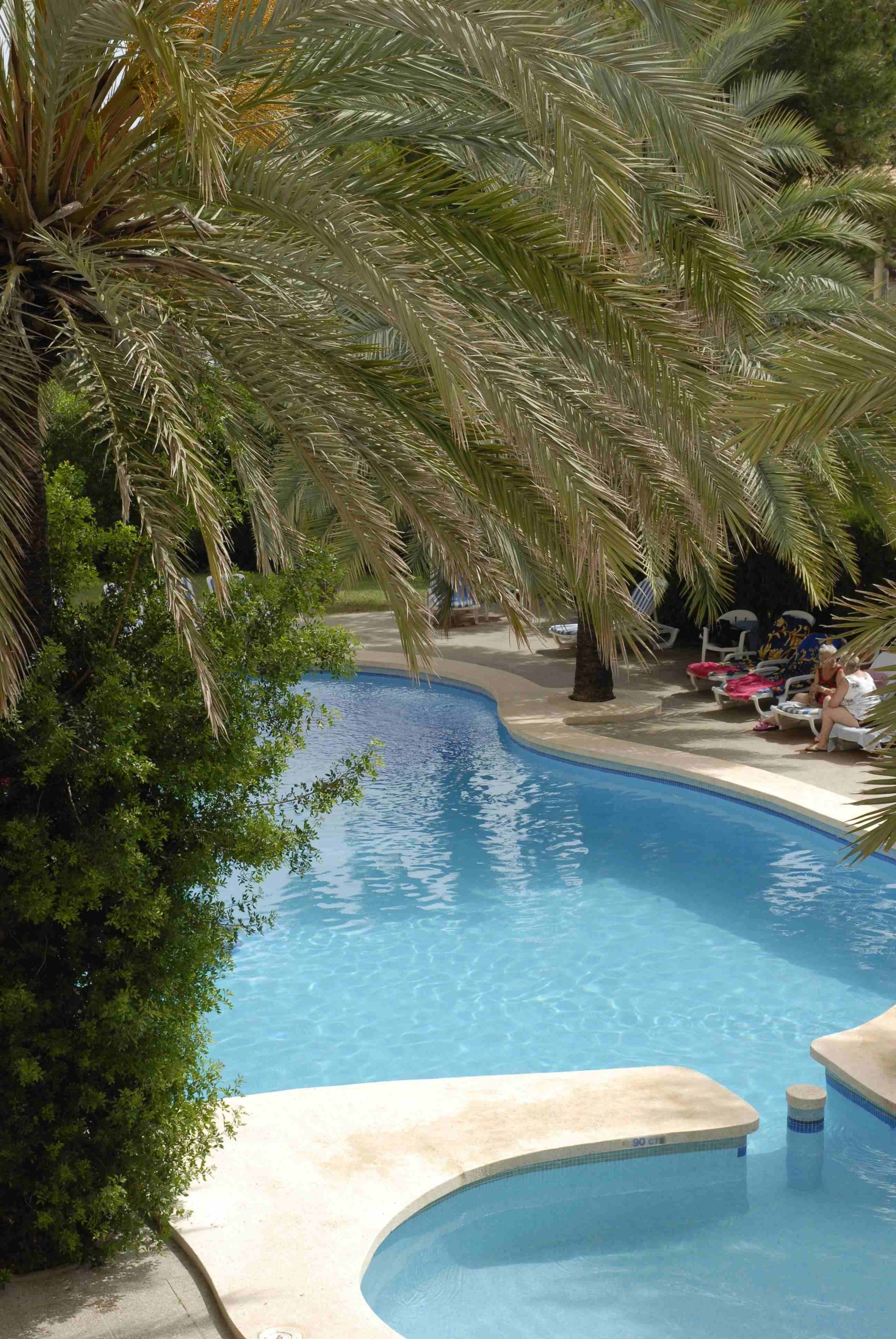 Una piscina de borde curvo rodeada de palmeras y sillas de descanso.