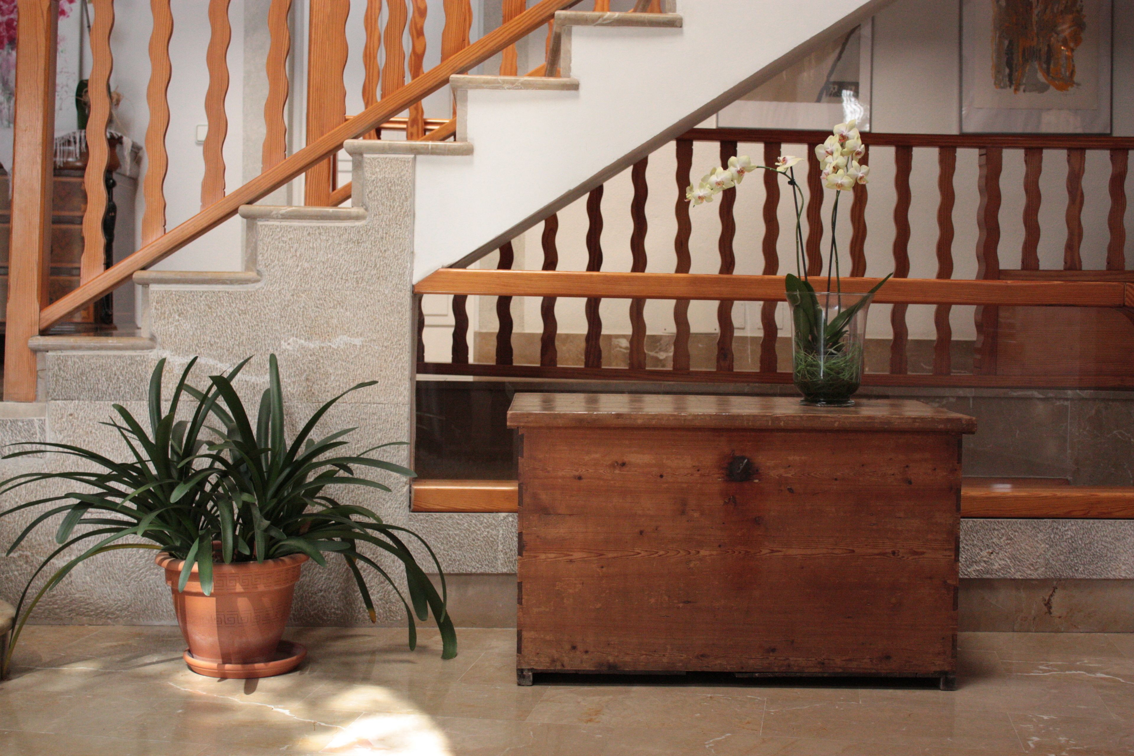 A staircase with wooden railings and a potted plant beside it.