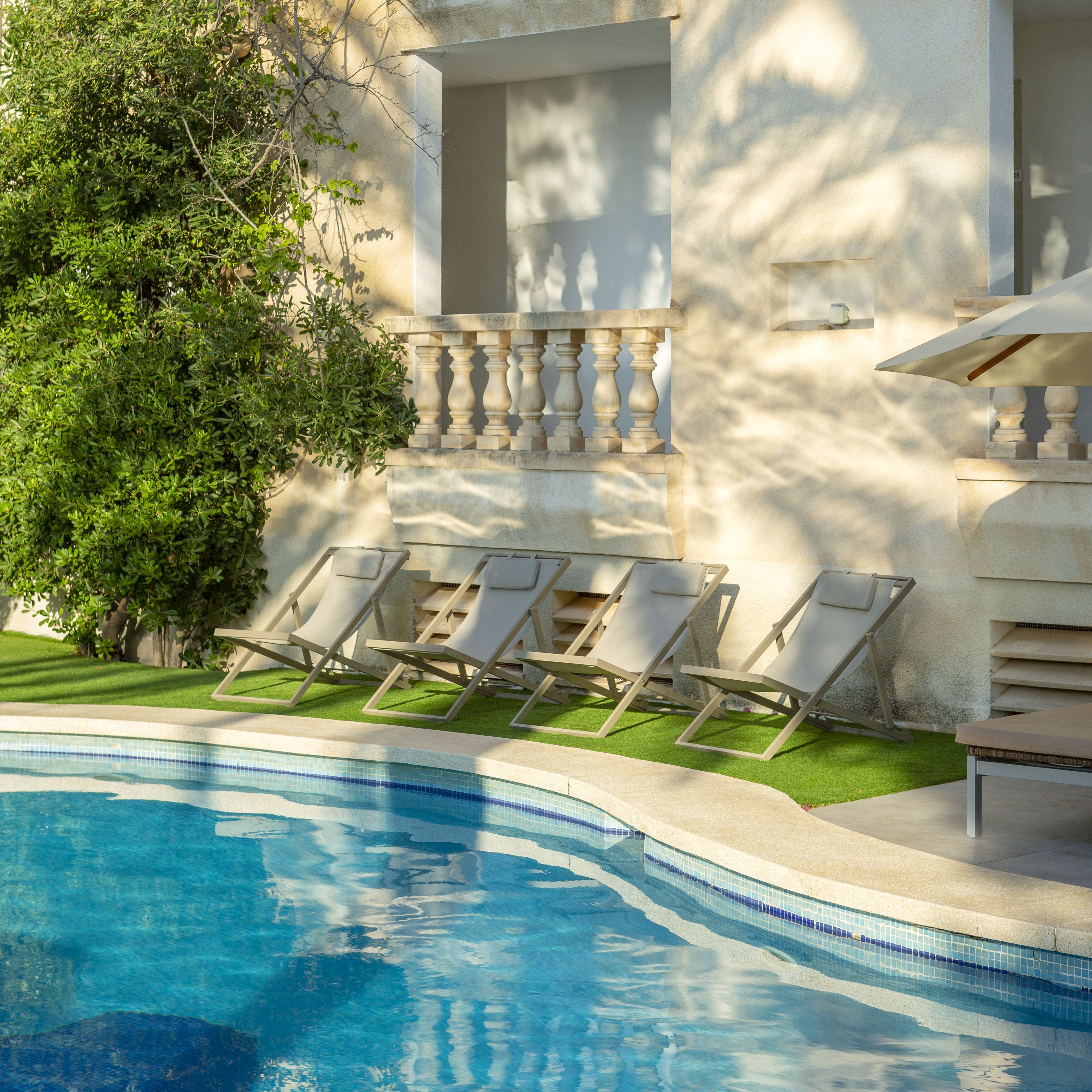 A swimming pool with lounge chairs and a tree.