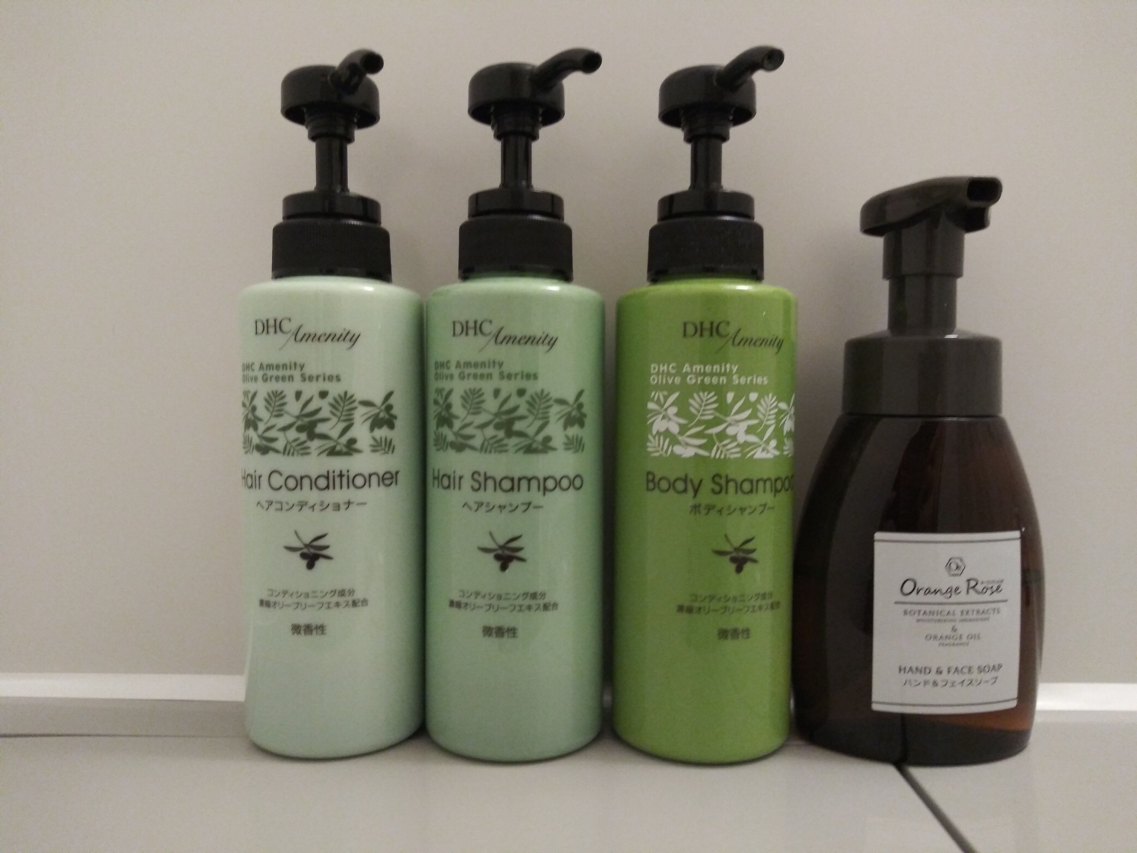 combined shower/bathtub, free toiletries, hair dryer, slippers