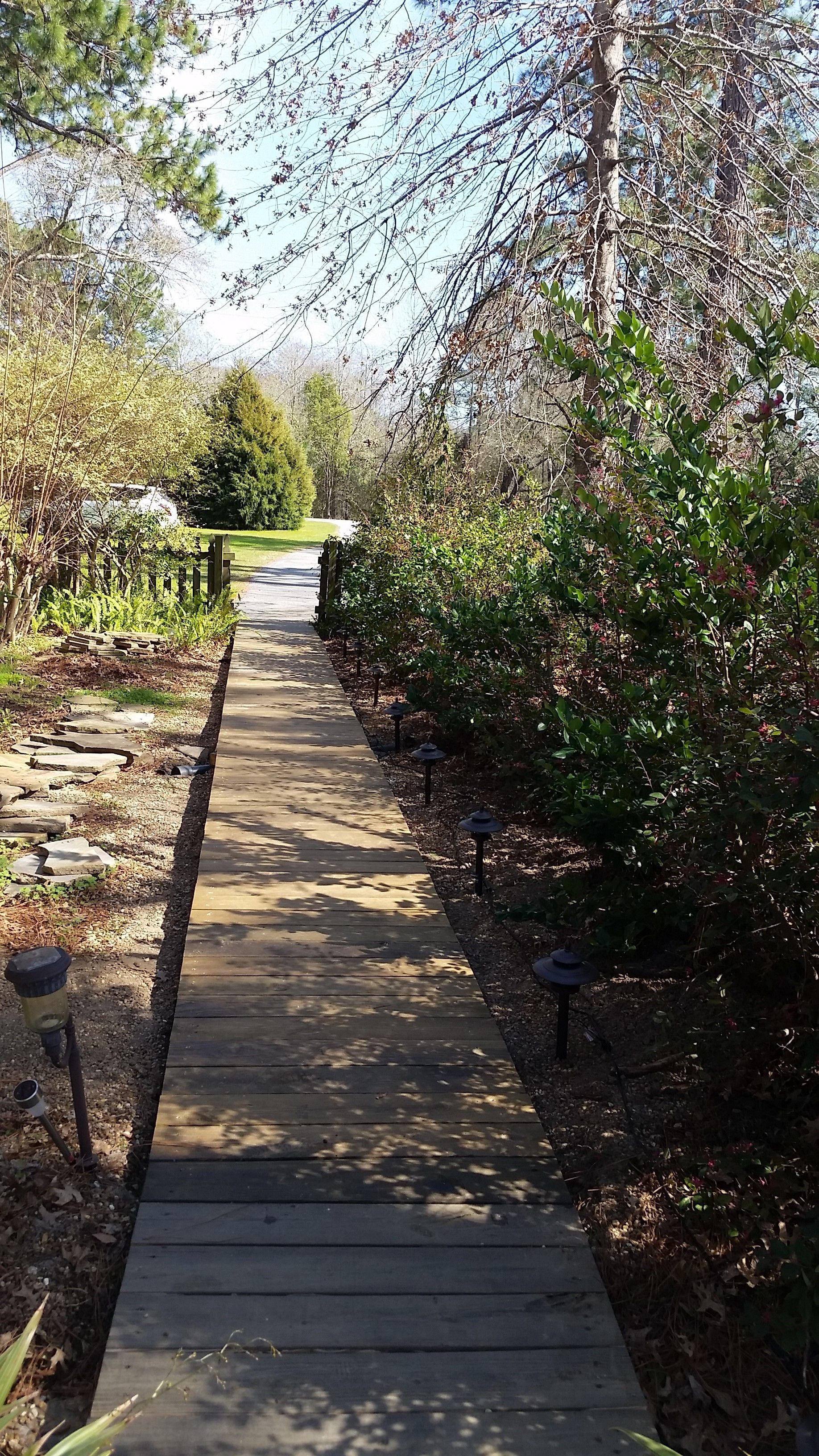 A wooden pathway flanked by dense shrubbery and trees, leading towards a distant road.