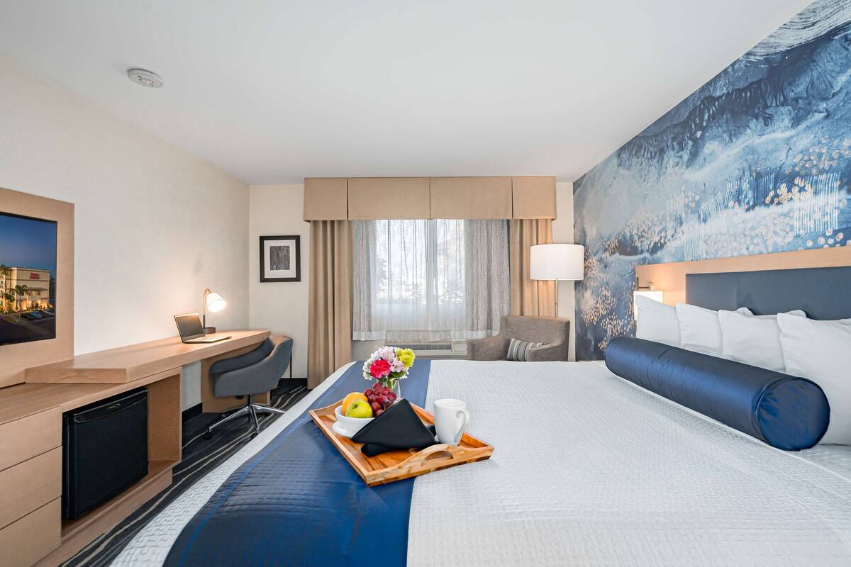 Una habitación de hotel con una cama, un escritorio, un televisor y un cuadro en la pared.