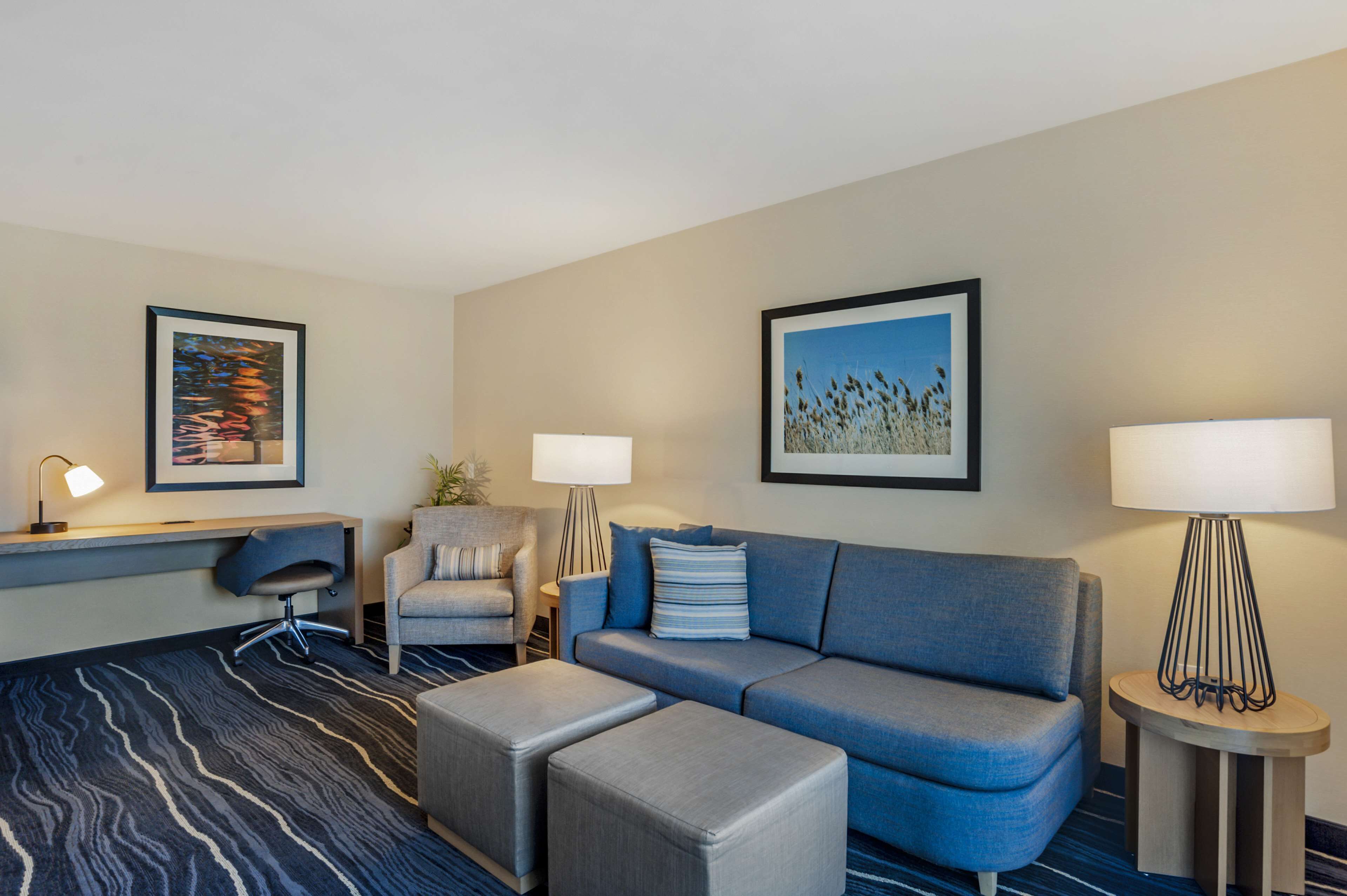 suite, 1 king bed, non smoking, refrigerator (with sofabed) | premium bedding, in-room safe, desk, laptop workspace