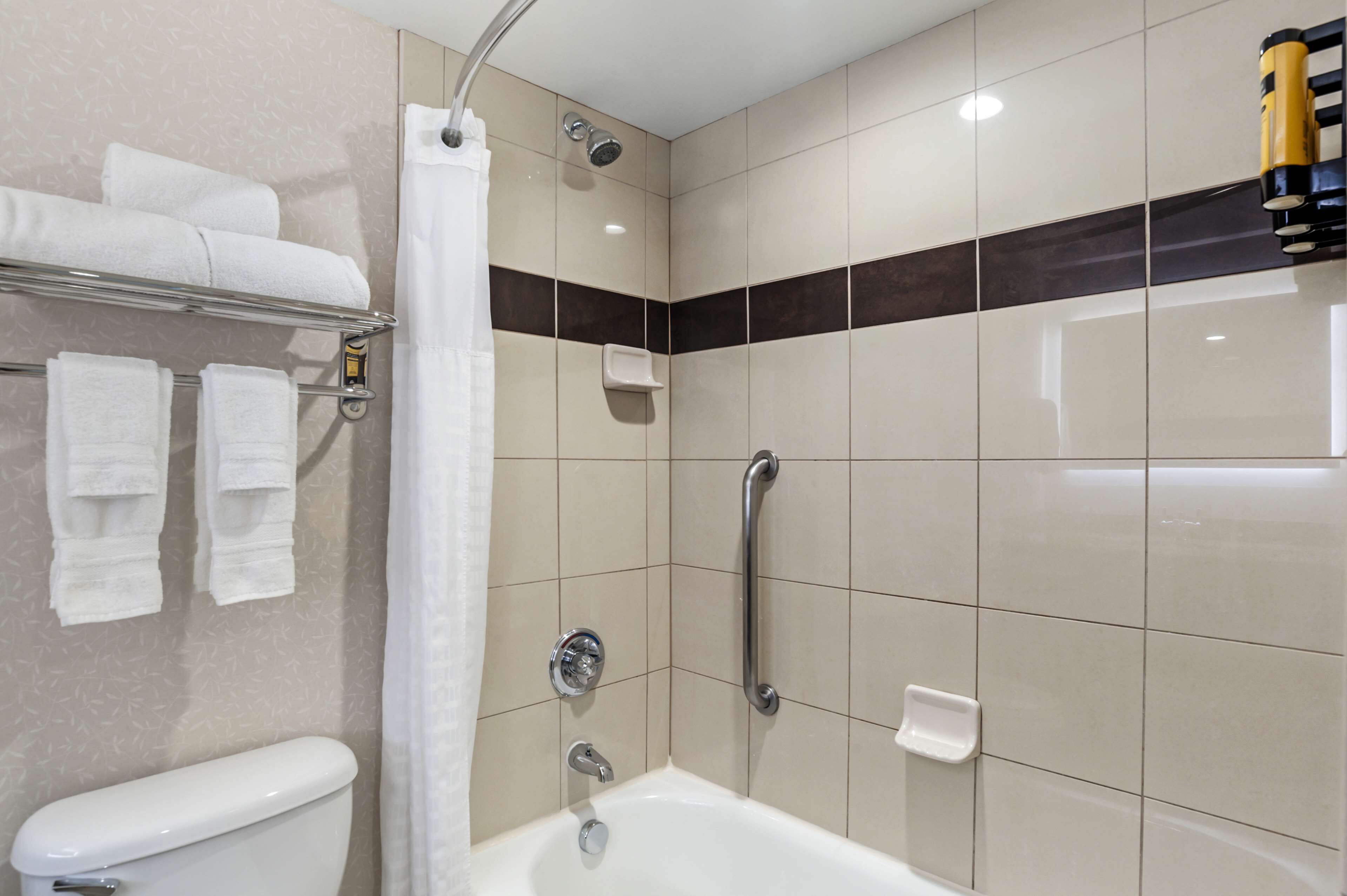 suite, 1 king bed, accessible, bathtub (with sofabed) | bathroom | combined shower/bathtub, free toiletries, hair dryer, towels