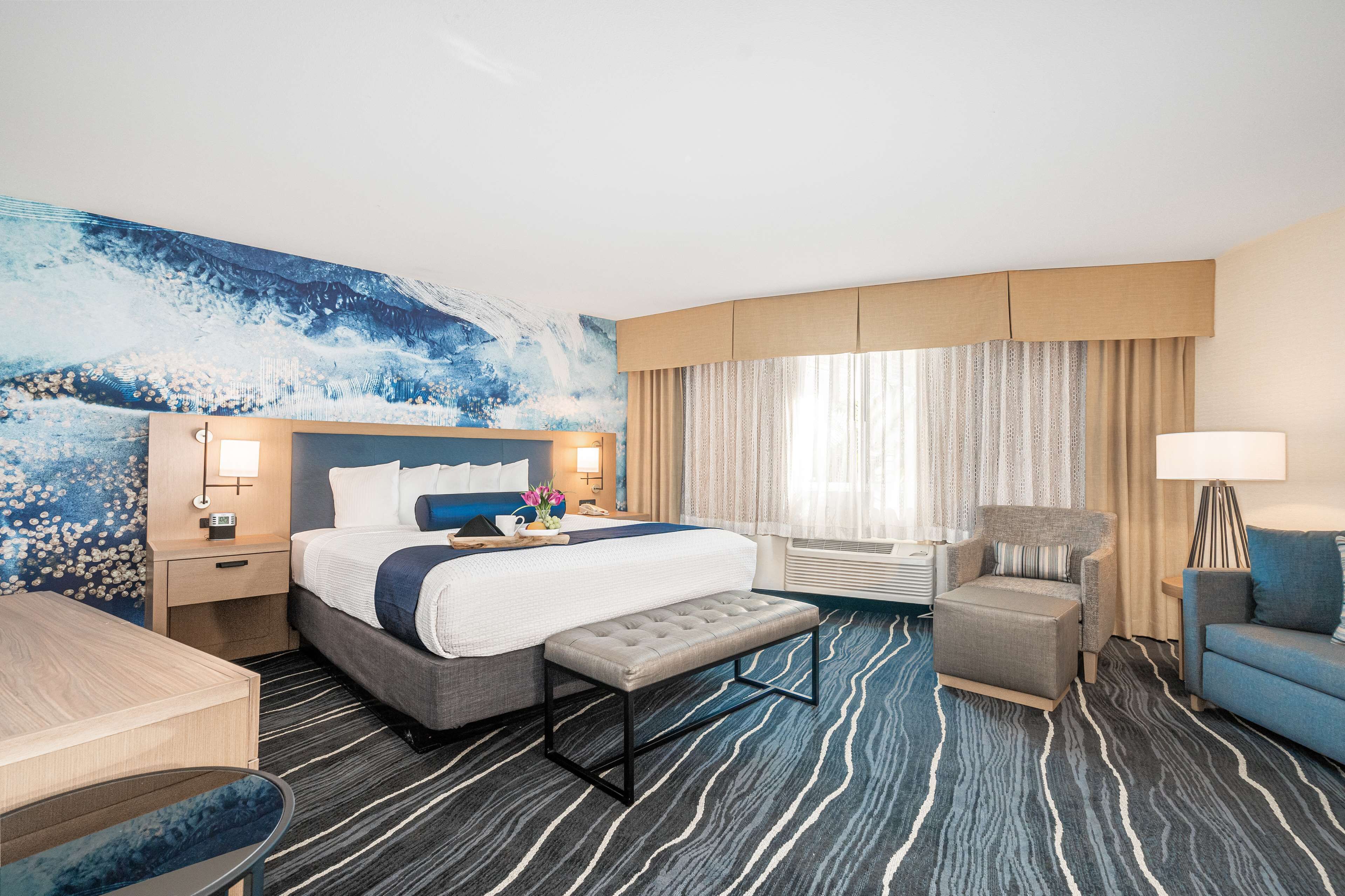 standard room, 1 king bed, non smoking, refrigerator & microwave (with sofabed) | premium bedding, in-room safe, desk, laptop workspace