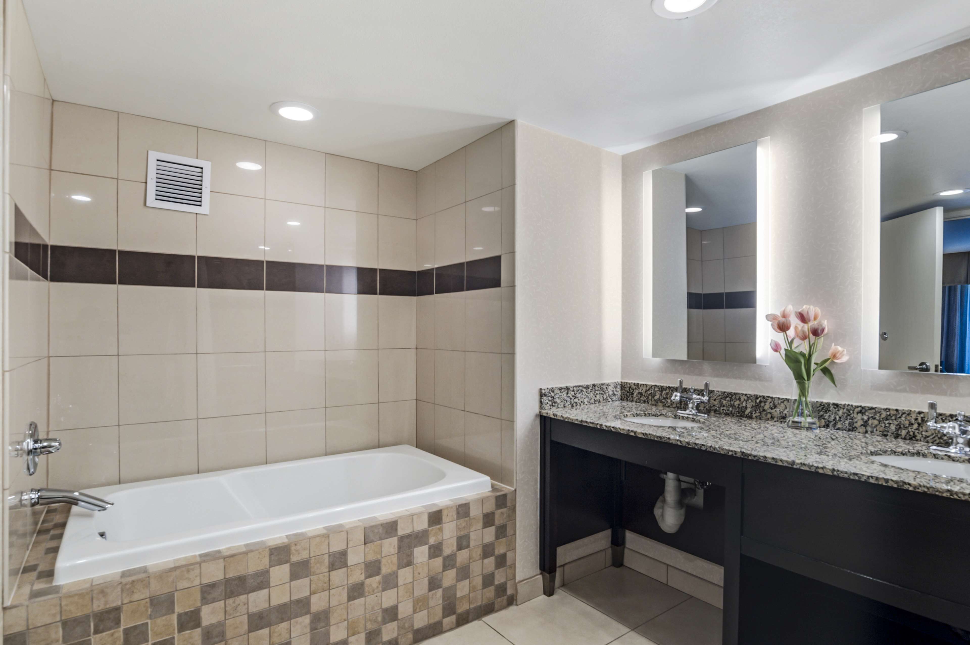 suite, 1 king bed, accessible, bathtub (with sofabed) | bathroom | combined shower/bathtub, free toiletries, hair dryer, towels
