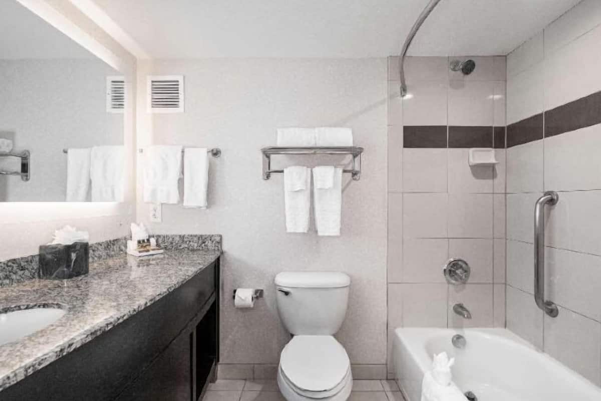 Bathroom | Combined shower/tub, free toiletries, hair dryer, towels