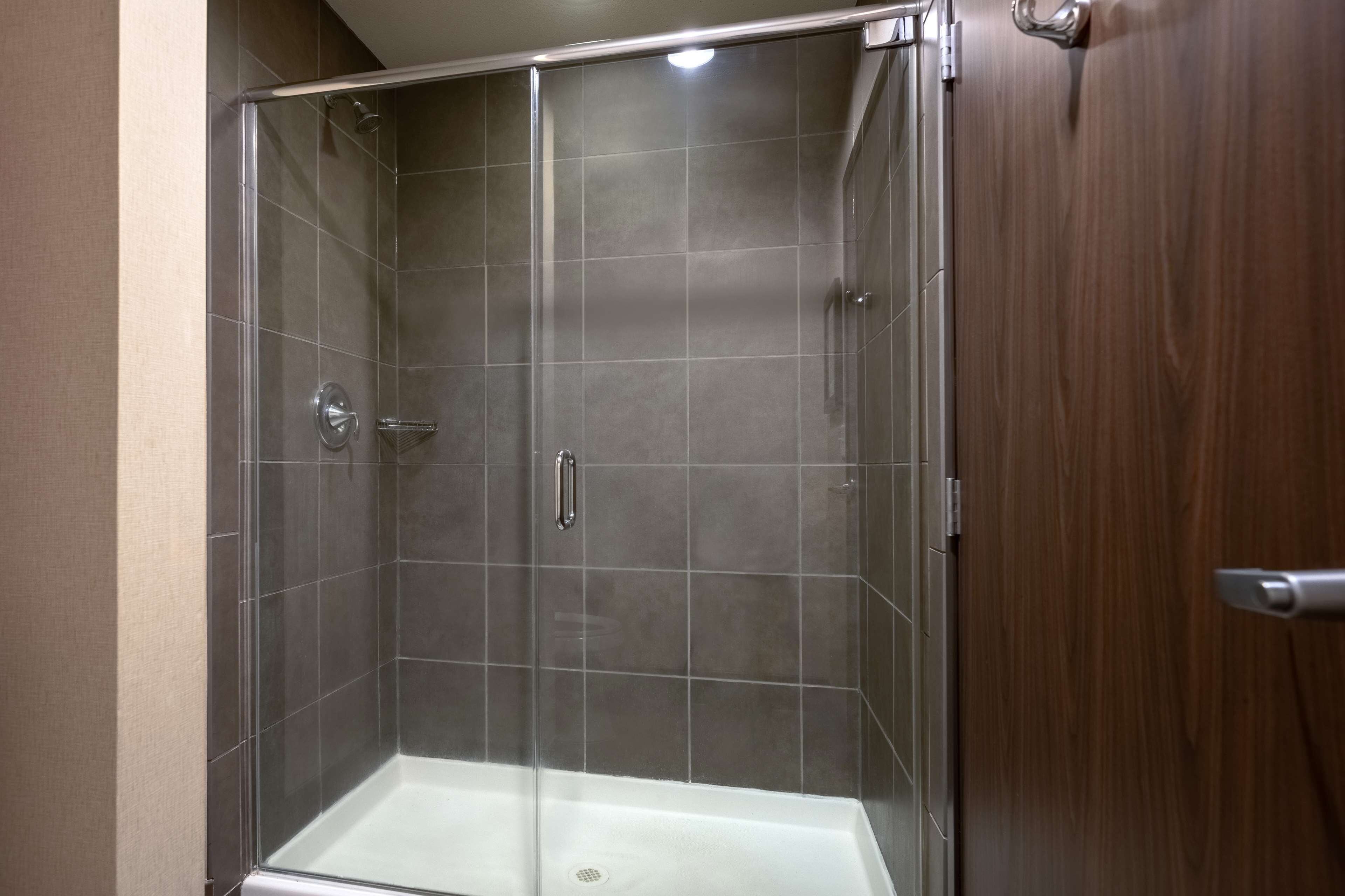 A glass-enclosed shower stall with a white floor, a showerhead, and a handrail.