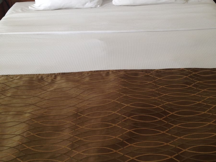 Double Room, 1 Queen Bed