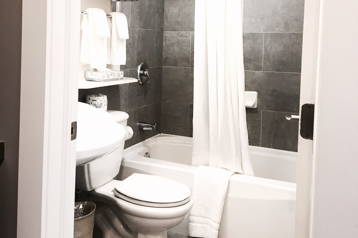 Combined shower/tub, free toiletries, hair dryer, towels