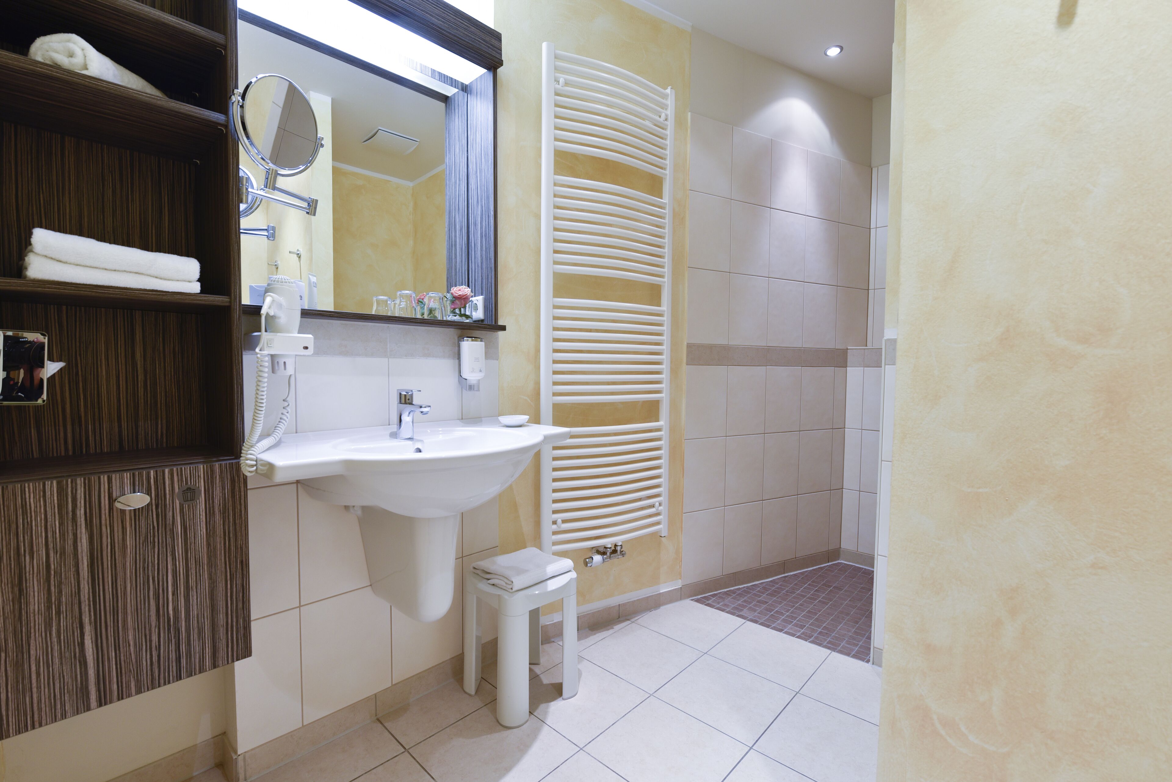 standard room | bathroom | shower, free toiletries, hair dryer, dressing gowns