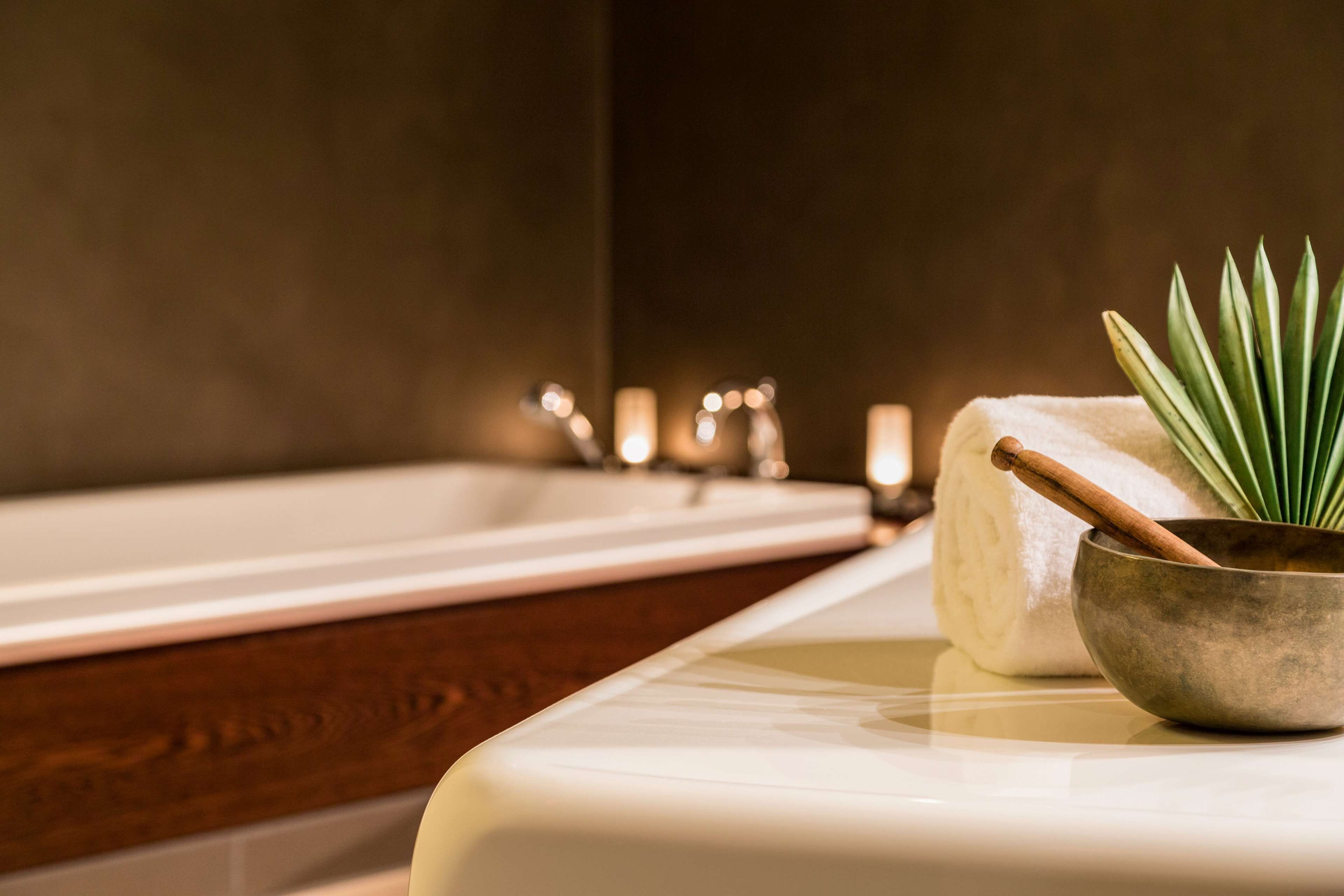 Ein Badezimmer mit einer Badewanne, einem Handtuch, einer Schüssel und einer Pflanze.