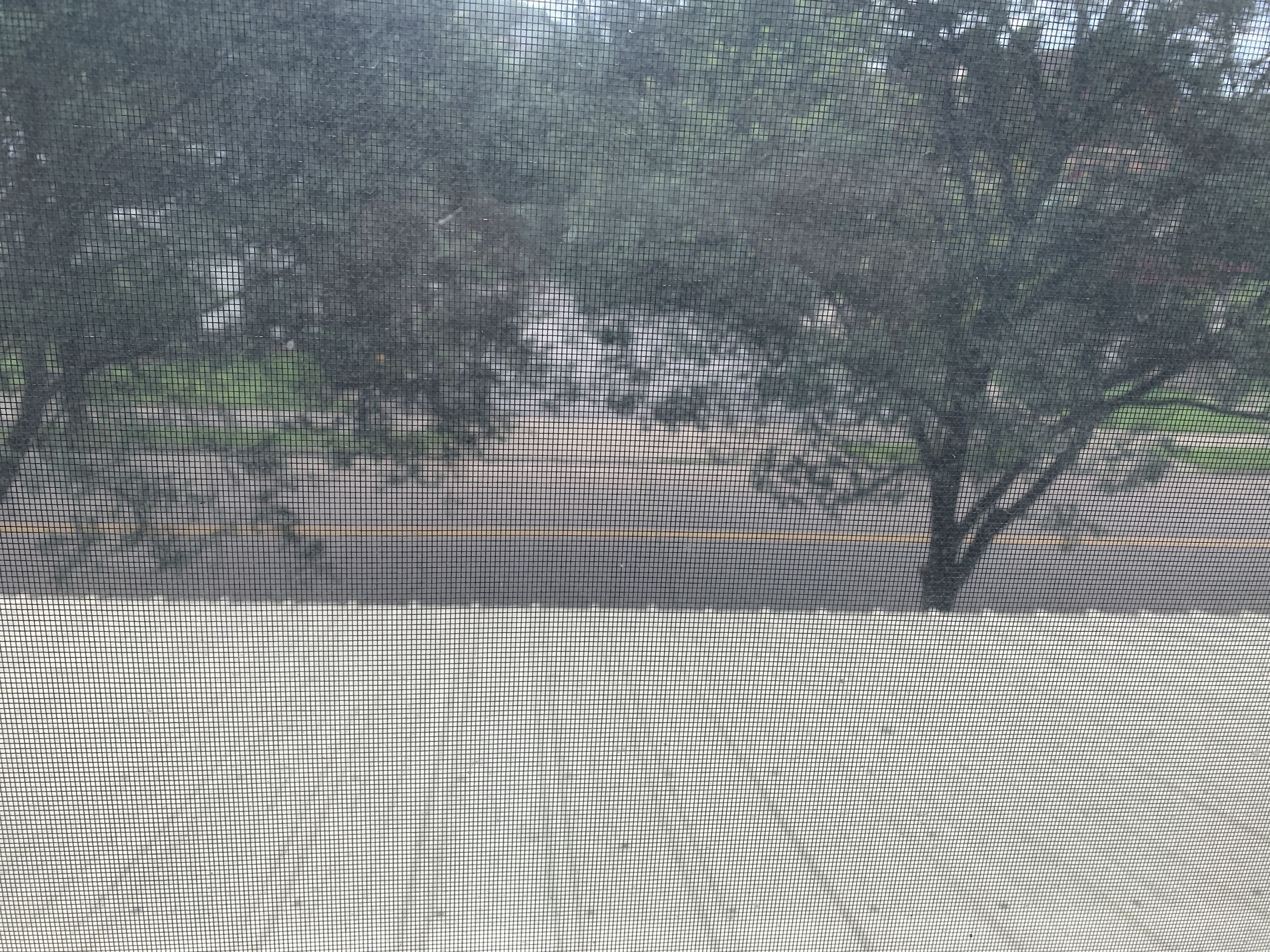 A view through a window with a grid pattern, trees, and a paved area.