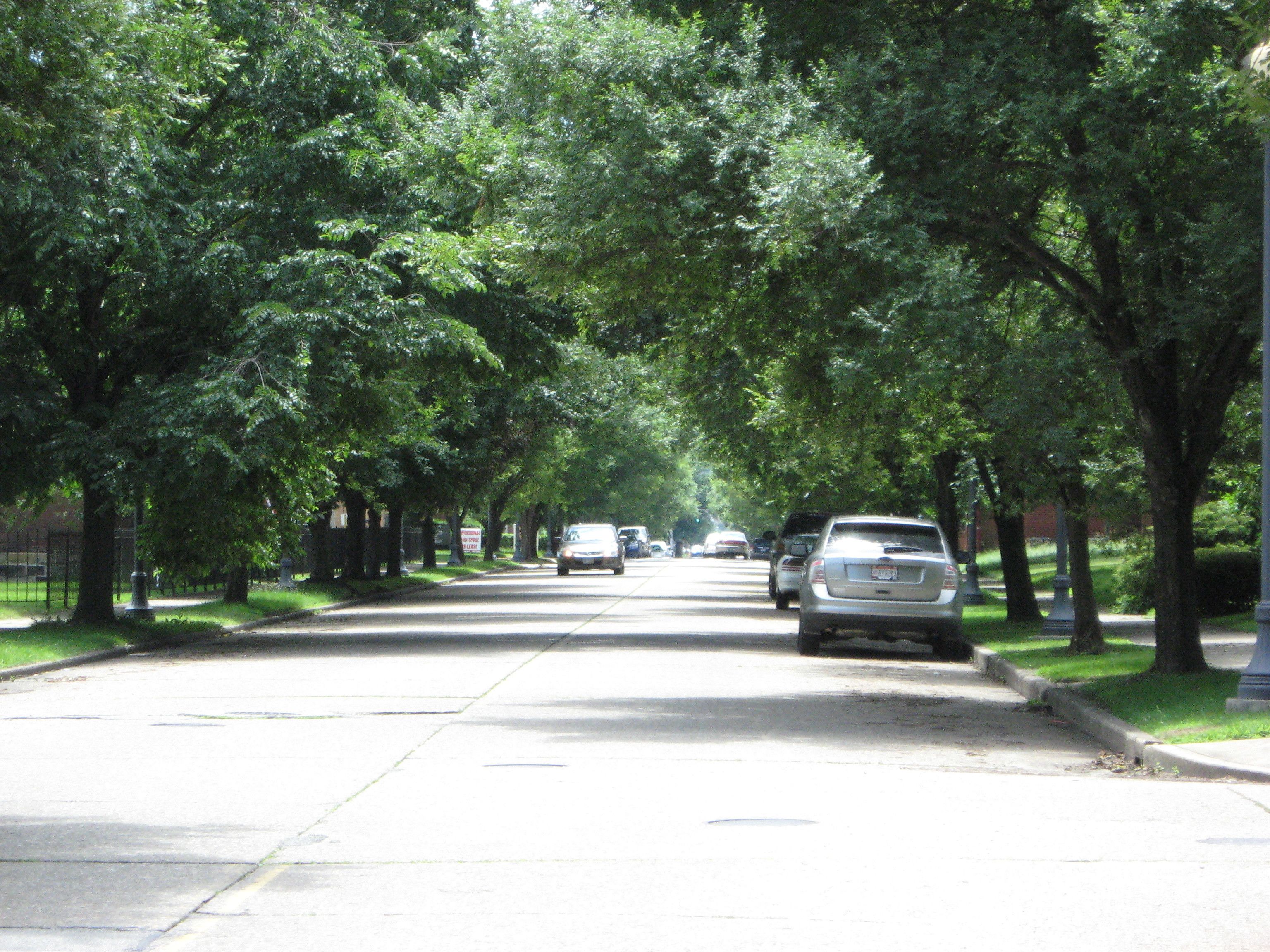 A tree-lined street with parked cars and a sidewalk.