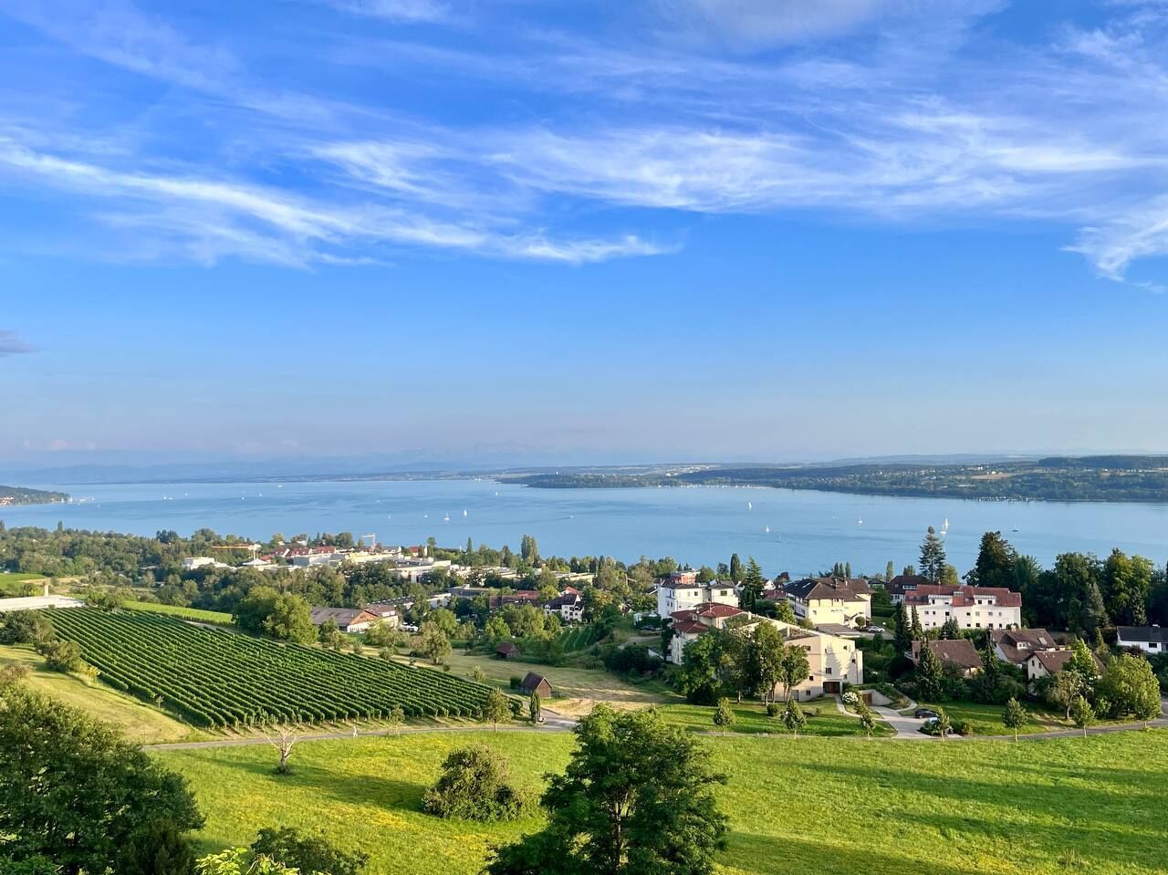 Uma cidade com vinhedos e casas à beira de um lago.