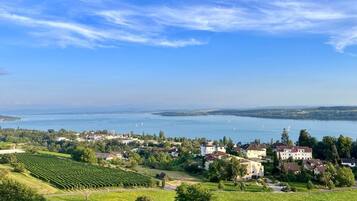 Uma cidade com vinhedos e casas à beira de um lago.