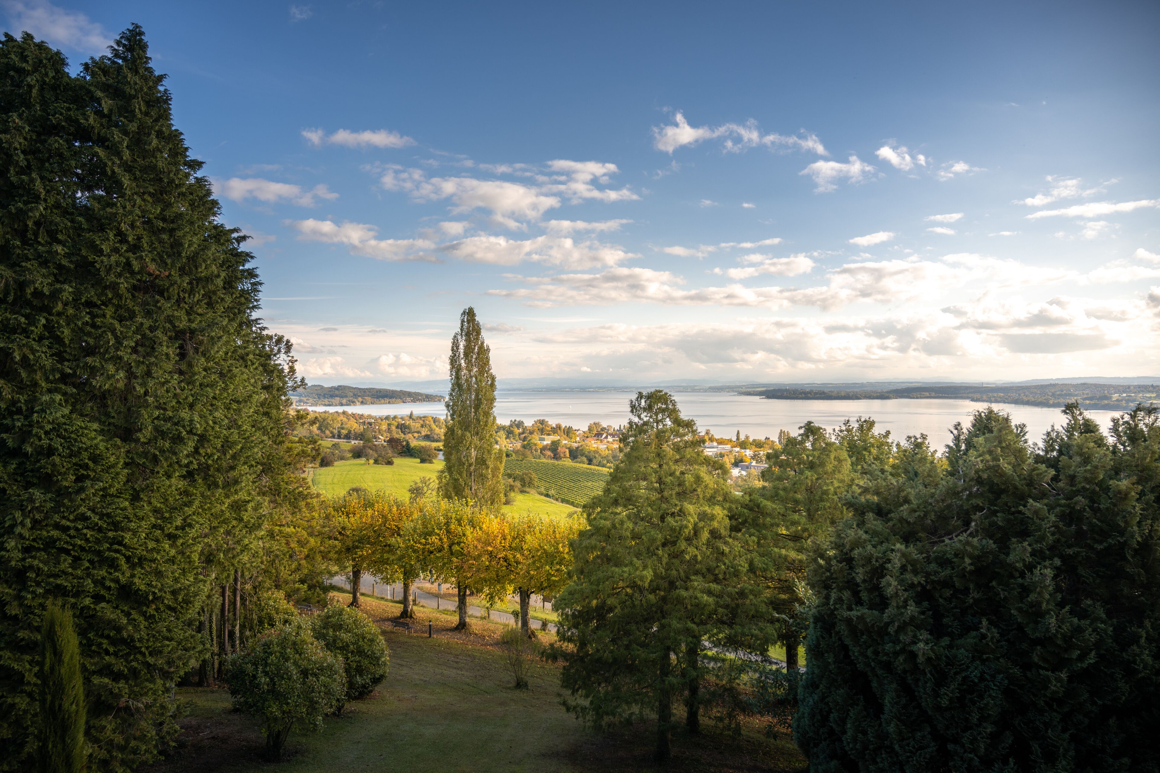 Eine Landschaft mit einem See, Bäumen und einer in der Ferne liegenden Stadt.