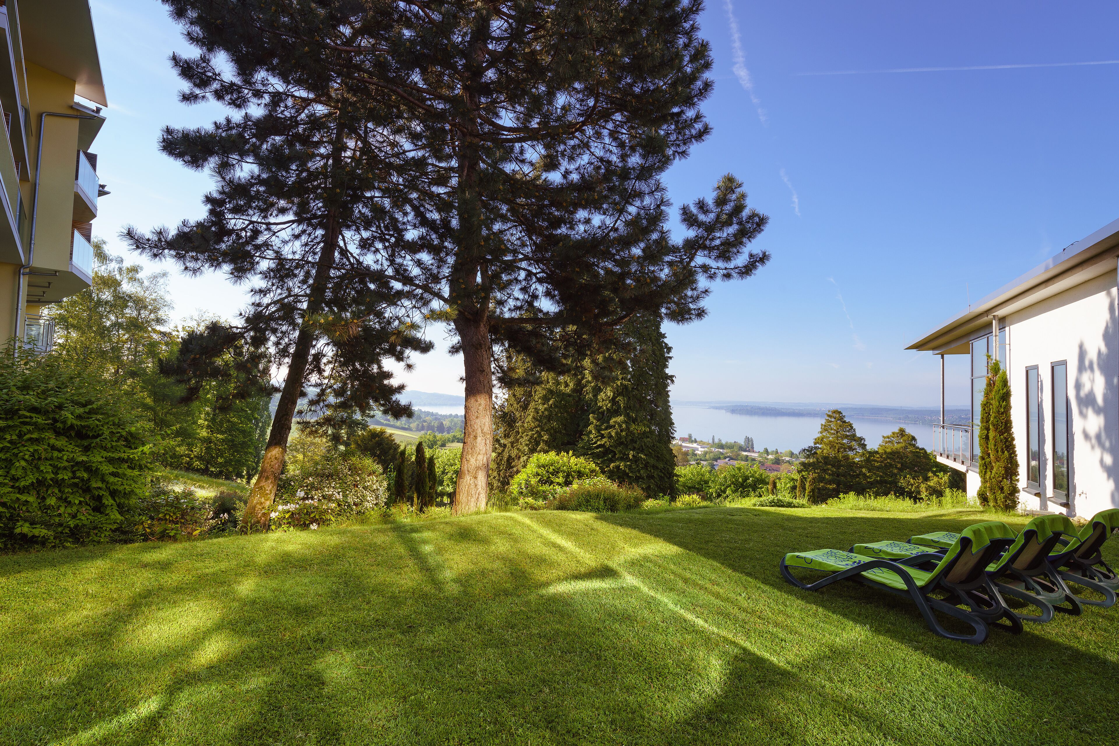 A well-maintained lawn with a large tree and a view of the sea.