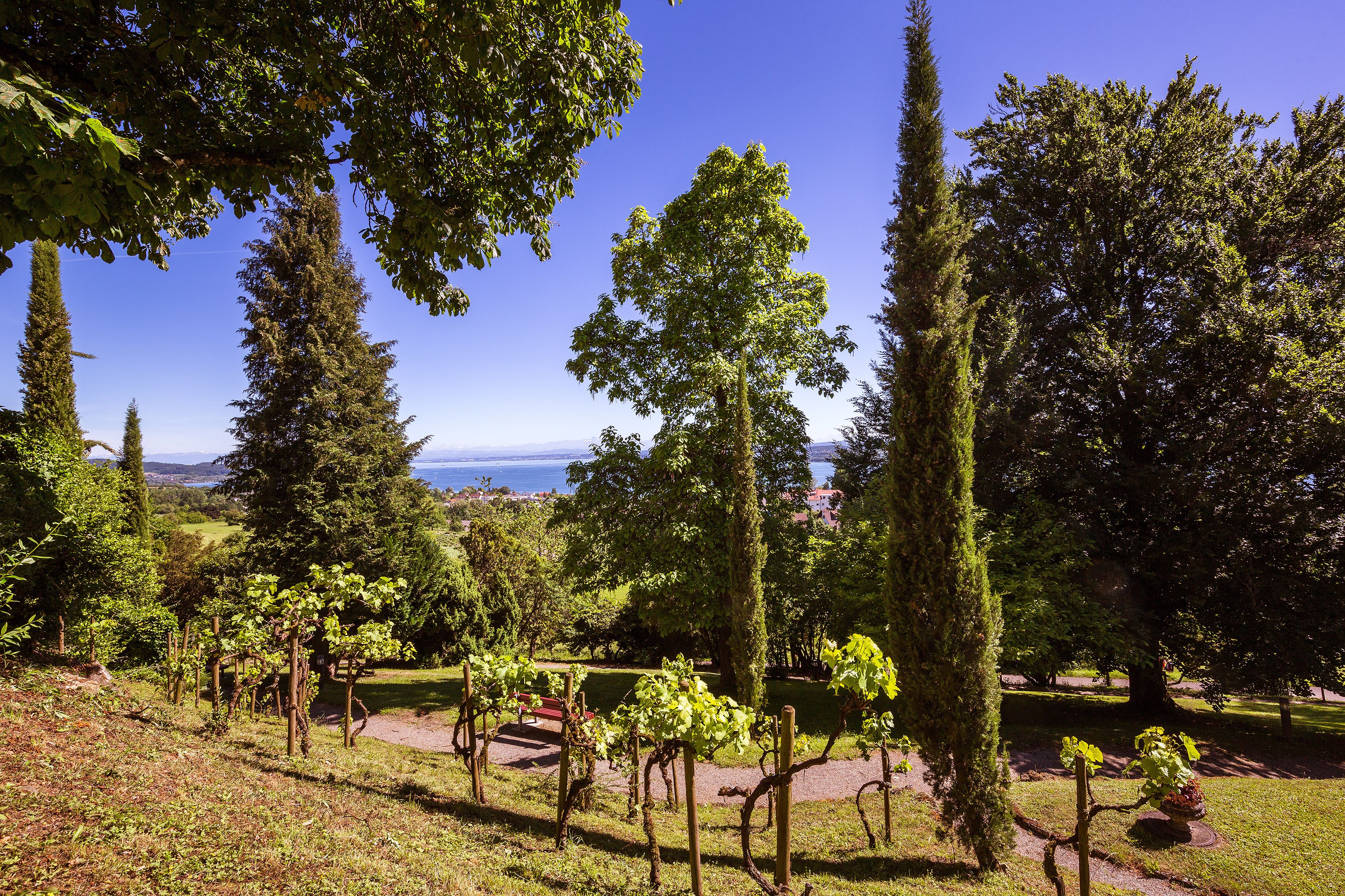 Foto - Parkhotel St.Leonhard