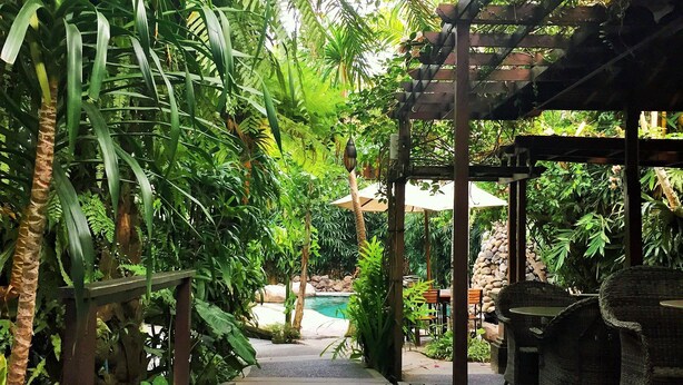 A wooden deck leading to a pool area surrounded by lush greenery. - Adi Cottage (Ubud)