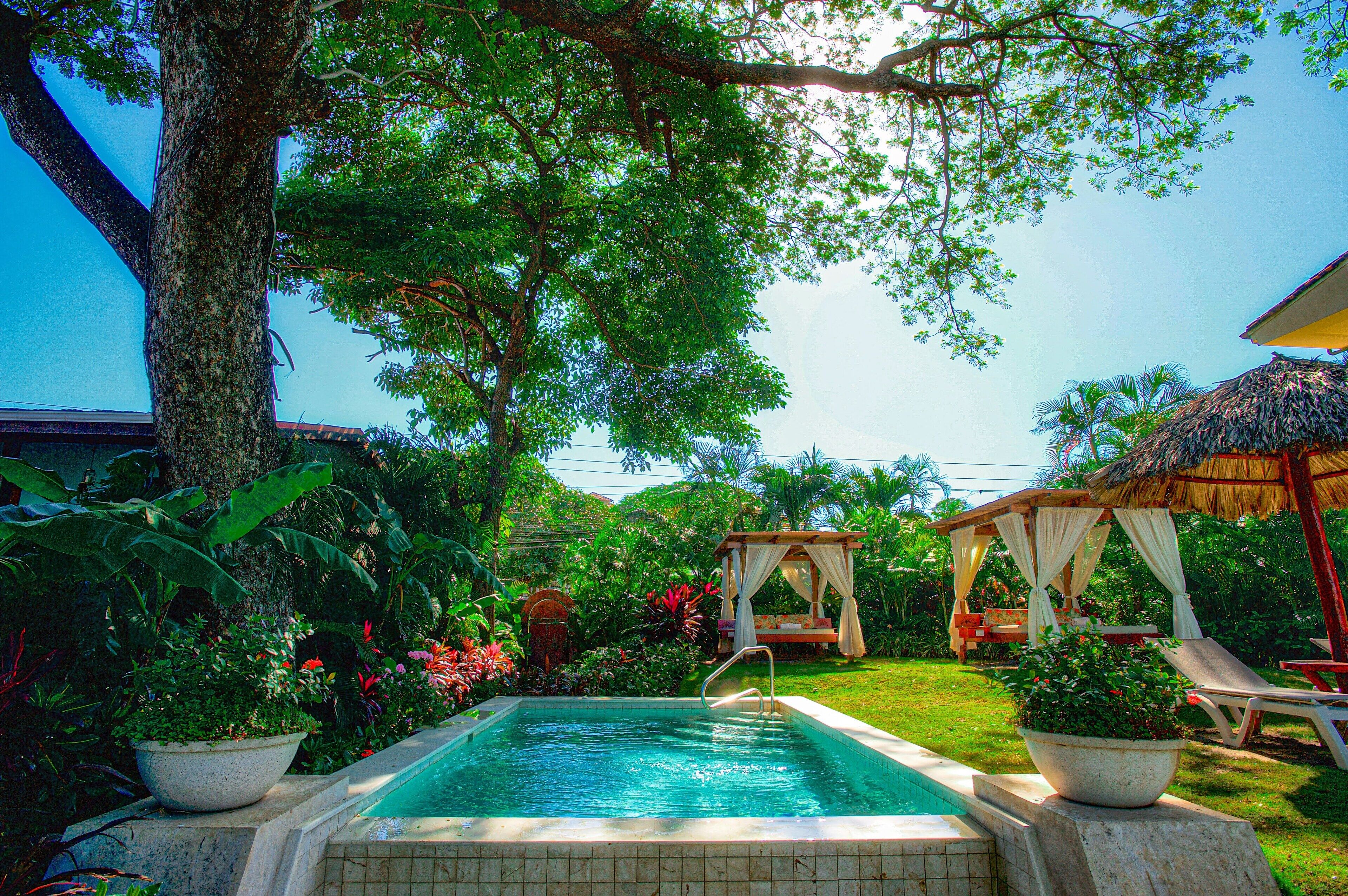A swimming pool surrounded by lush greenery, a thatched-roof structure, and a gazebo.