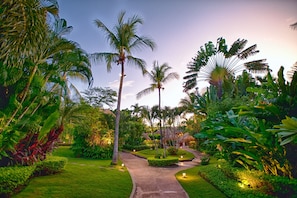 Jardin