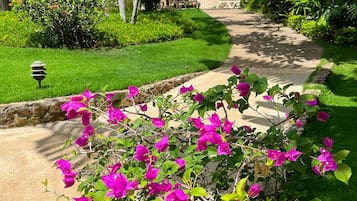 Un jardin tropical avec un sentier, une végétation luxuriante et des constructions à toits de chaume.