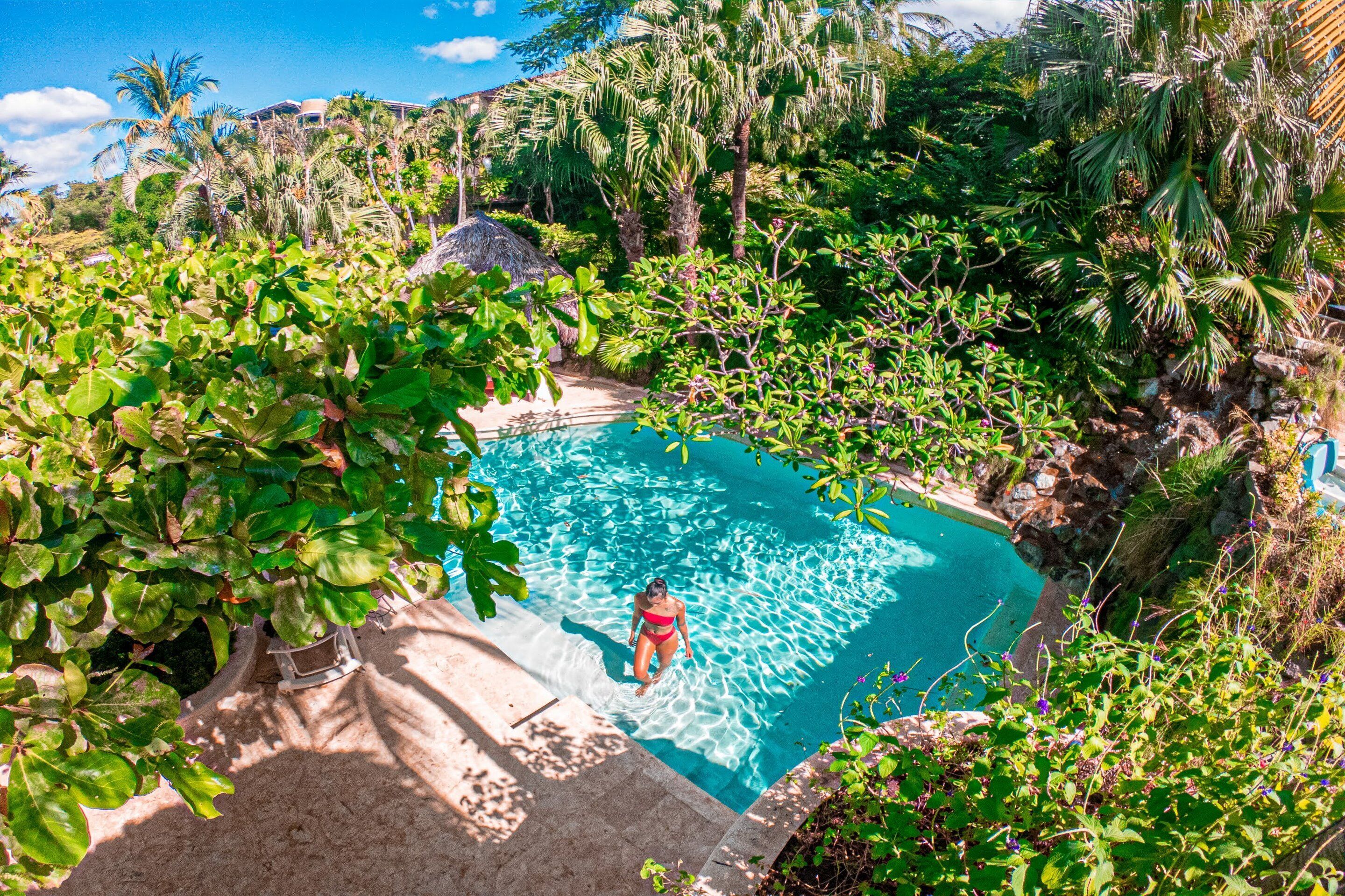 A swimming pool surrounded by lush greenery and a thatched-roof structure.