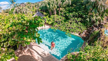 A swimming pool surrounded by lush greenery and a thatched-roof structure.