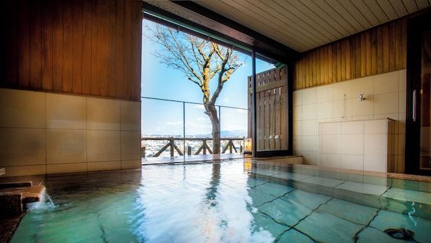 Piscina interior moderna con vistas a un árbol y un paisaje distante.