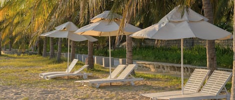 A beach with white lounge chairs and umbrellas, palm trees, and a stone wall in the background.