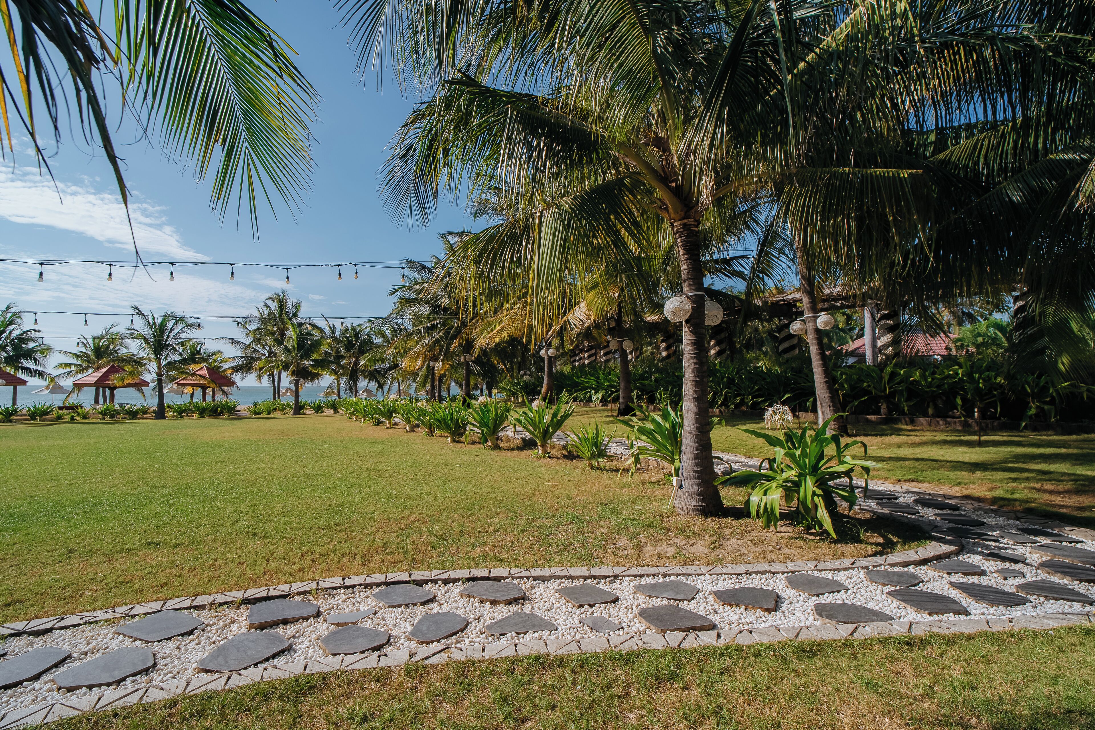 A tropical garden with palm trees, a stone pathway, and a grassy area.