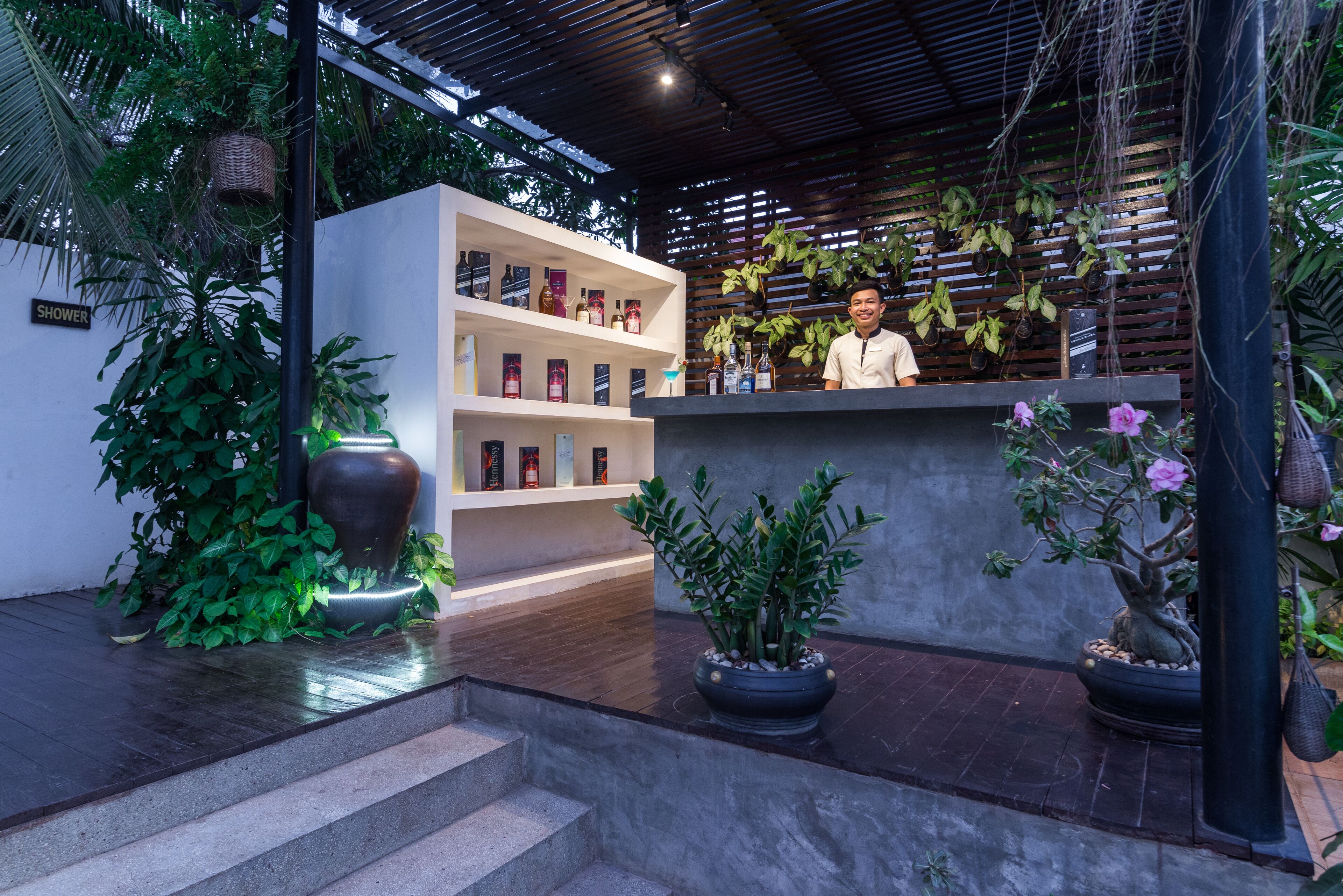 A modern bar area with a counter, shelves with bottles, and various plants.