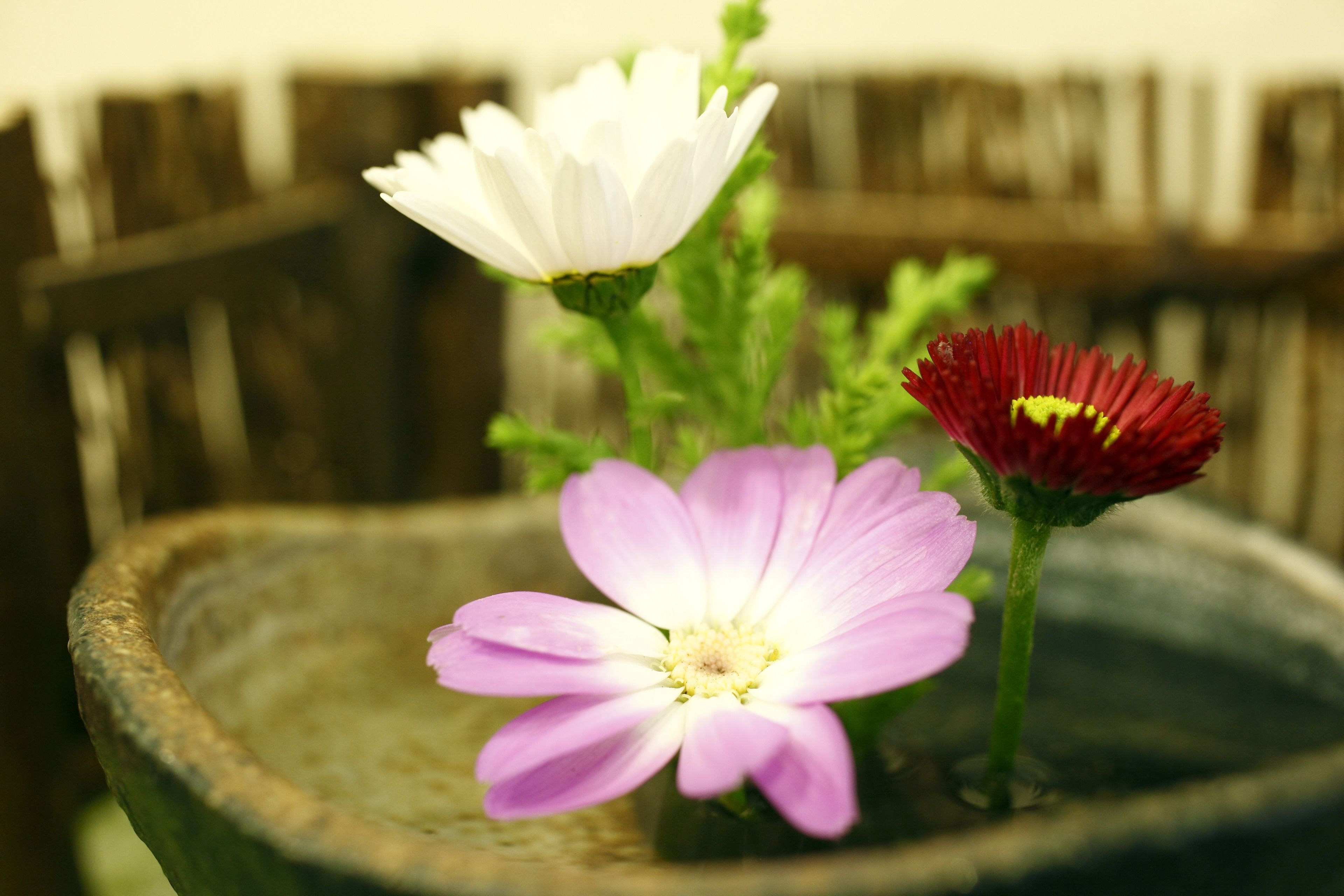 Photo - Tokyo Ueno New Izu Hotel