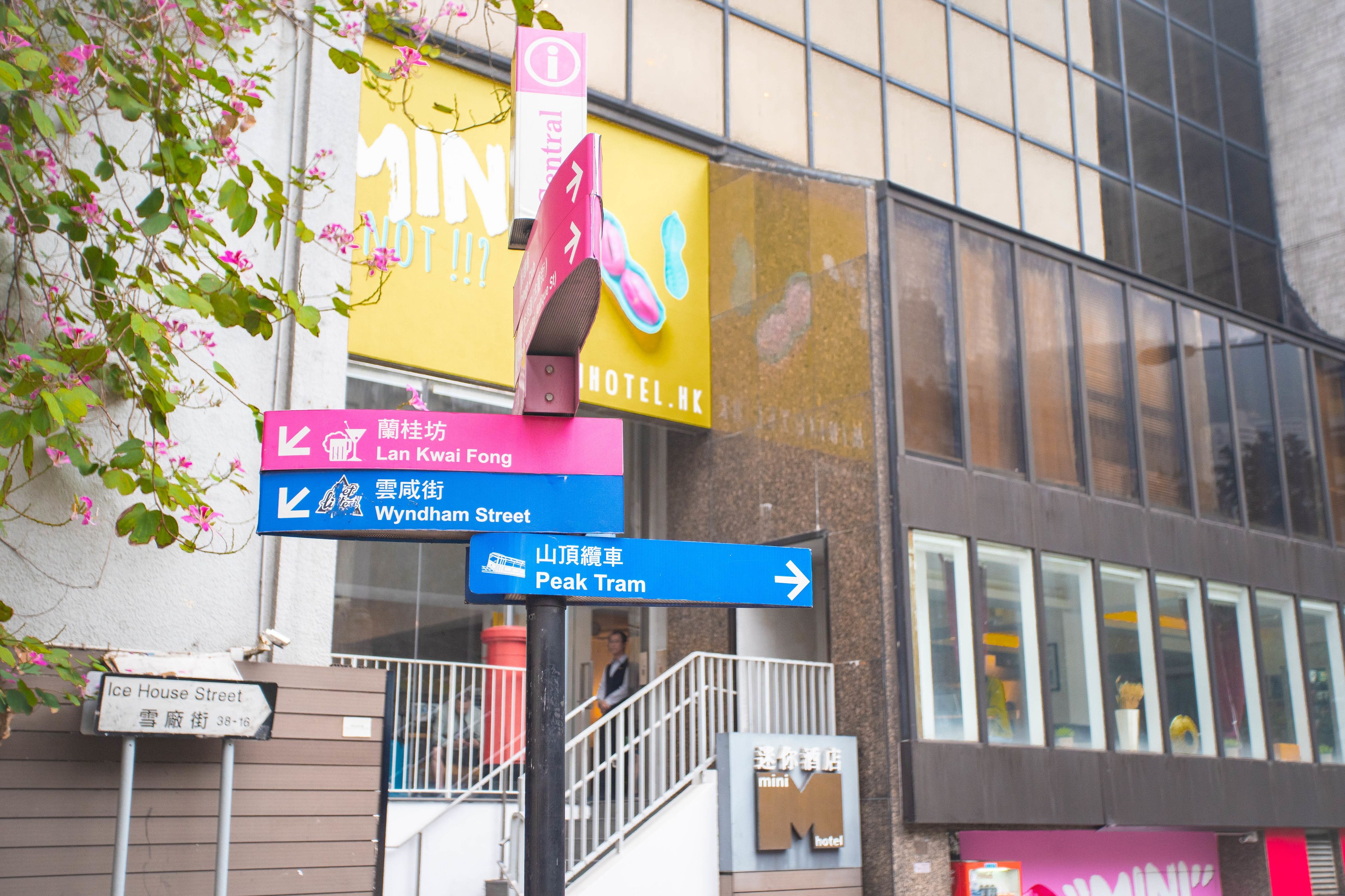 Photo - Mini Central