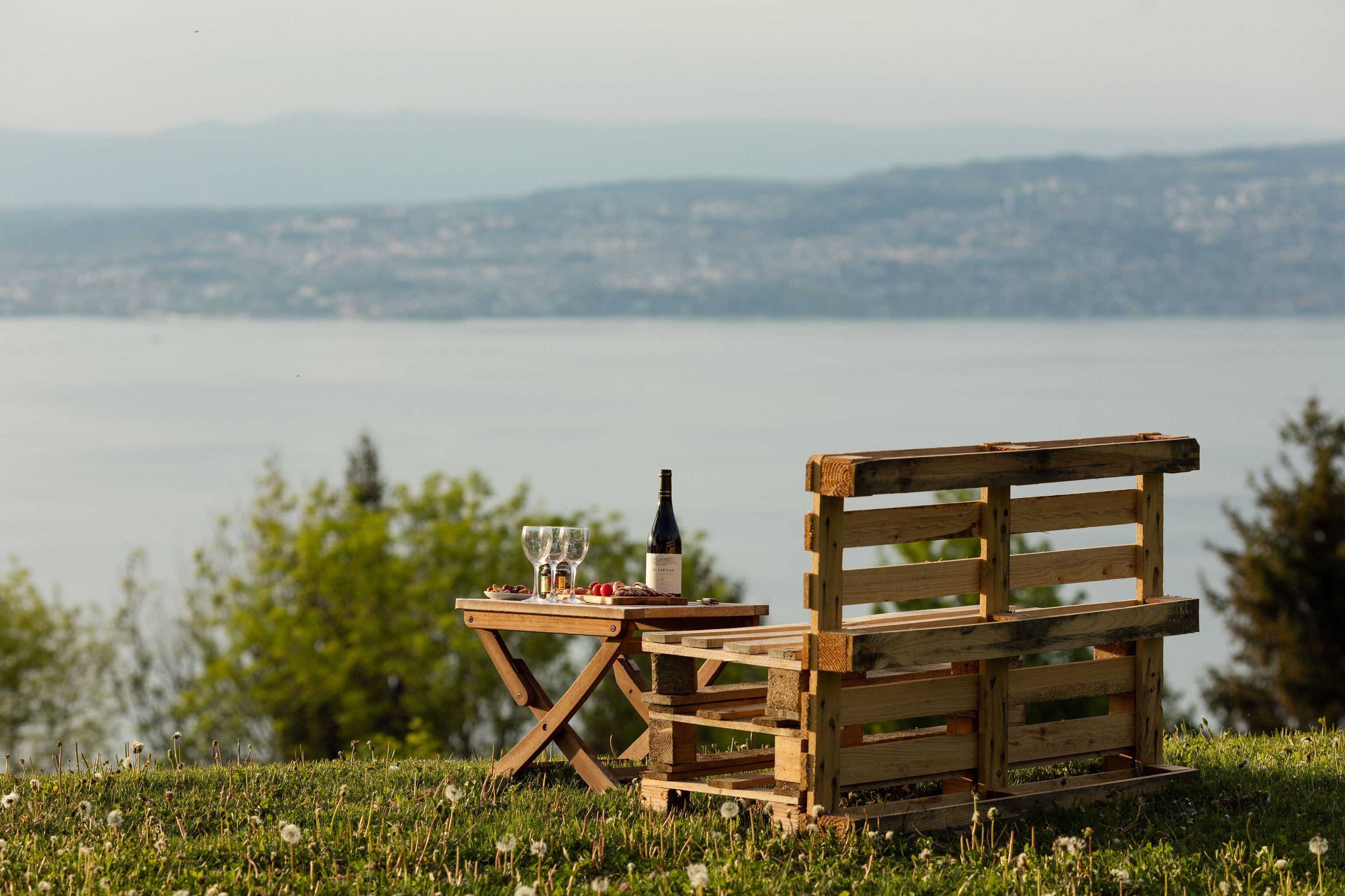 Photo - Garden & City Evian - Lugrin