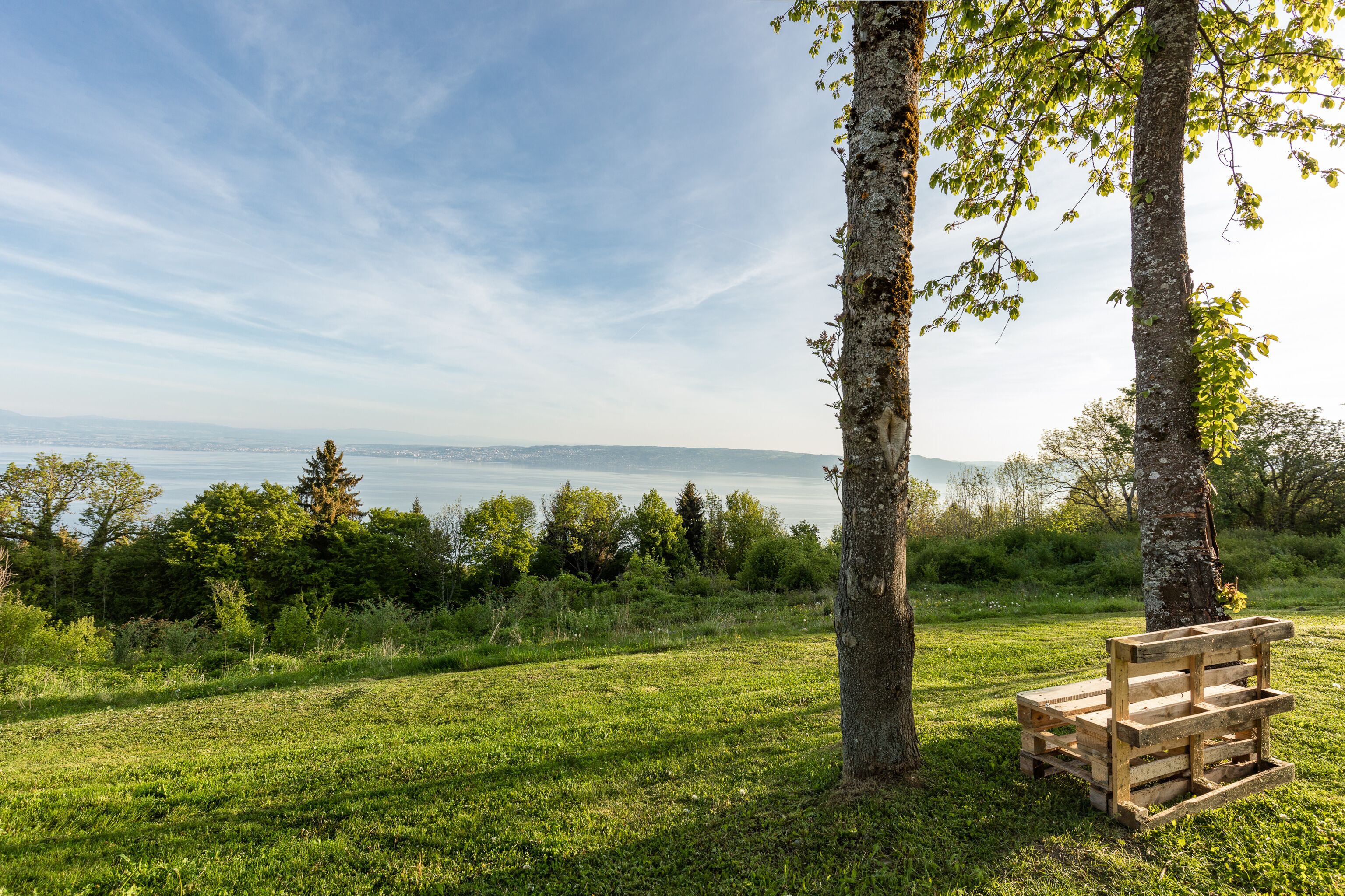 Photo - Garden & City Evian - Lugrin