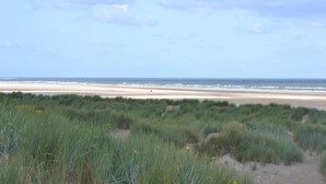 Een strand met duinen en een heldere lucht.