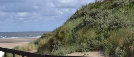 A sandy beach with a wooden fence and a grassy hill in the background.