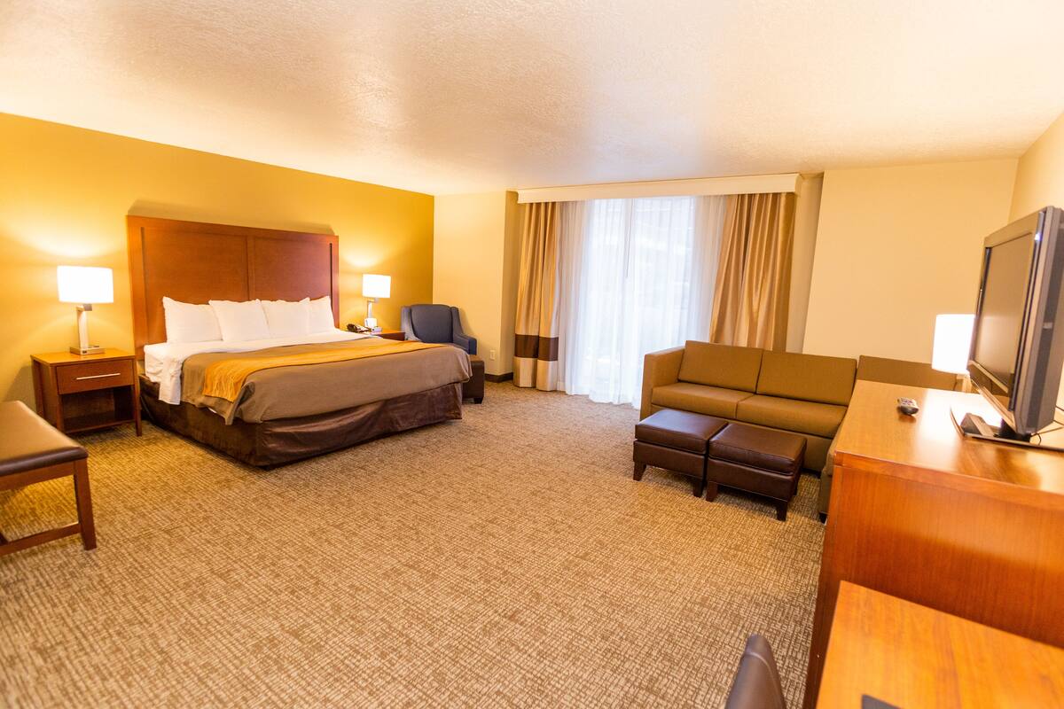 A hotel room with a bed, a sofa, a TV, a desk, and a chair.
