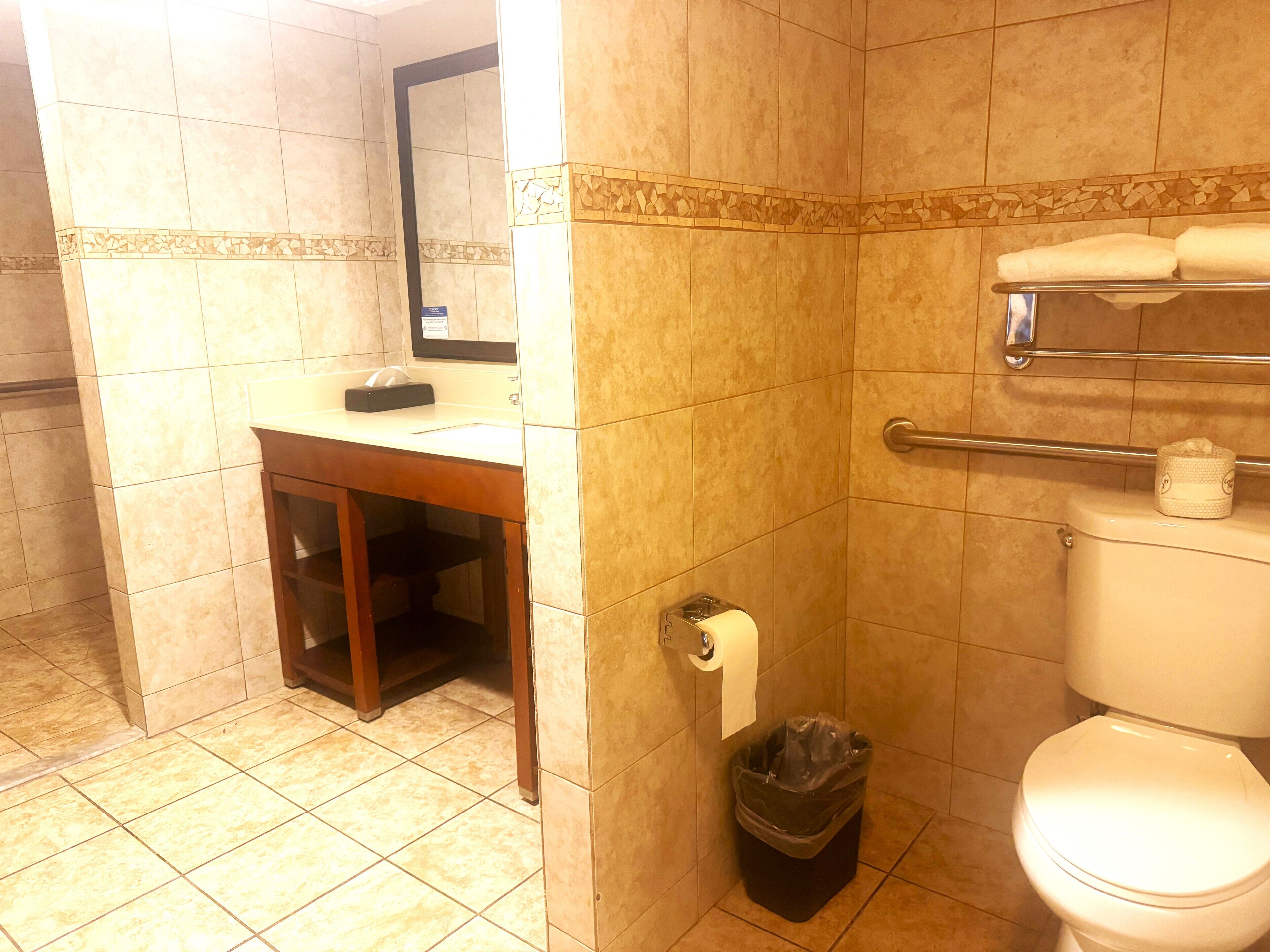 Photo - Comfort Inn Downtown