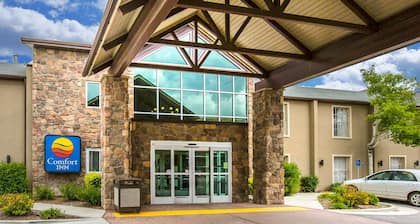 Comfort Inn Downtown