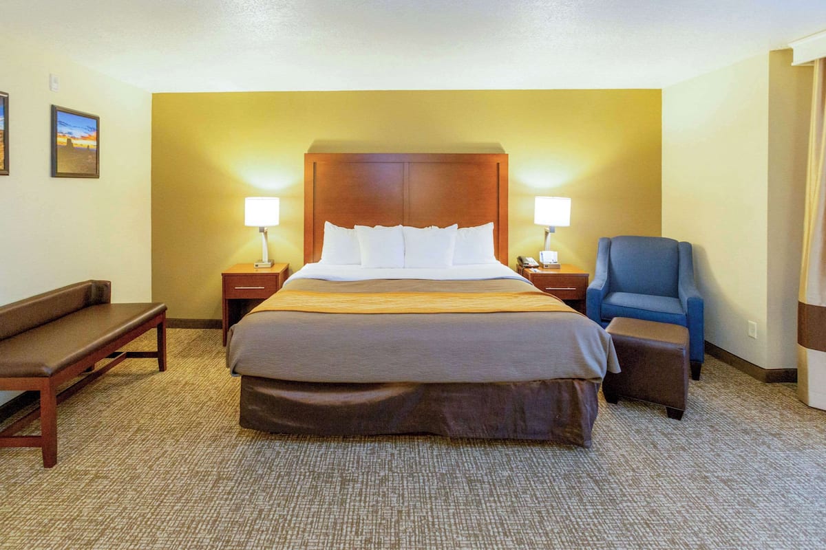 Standard Room, 1 King Bed, Non Smoking | Premium bedding, desk, laptop workspace, iron/ironing board