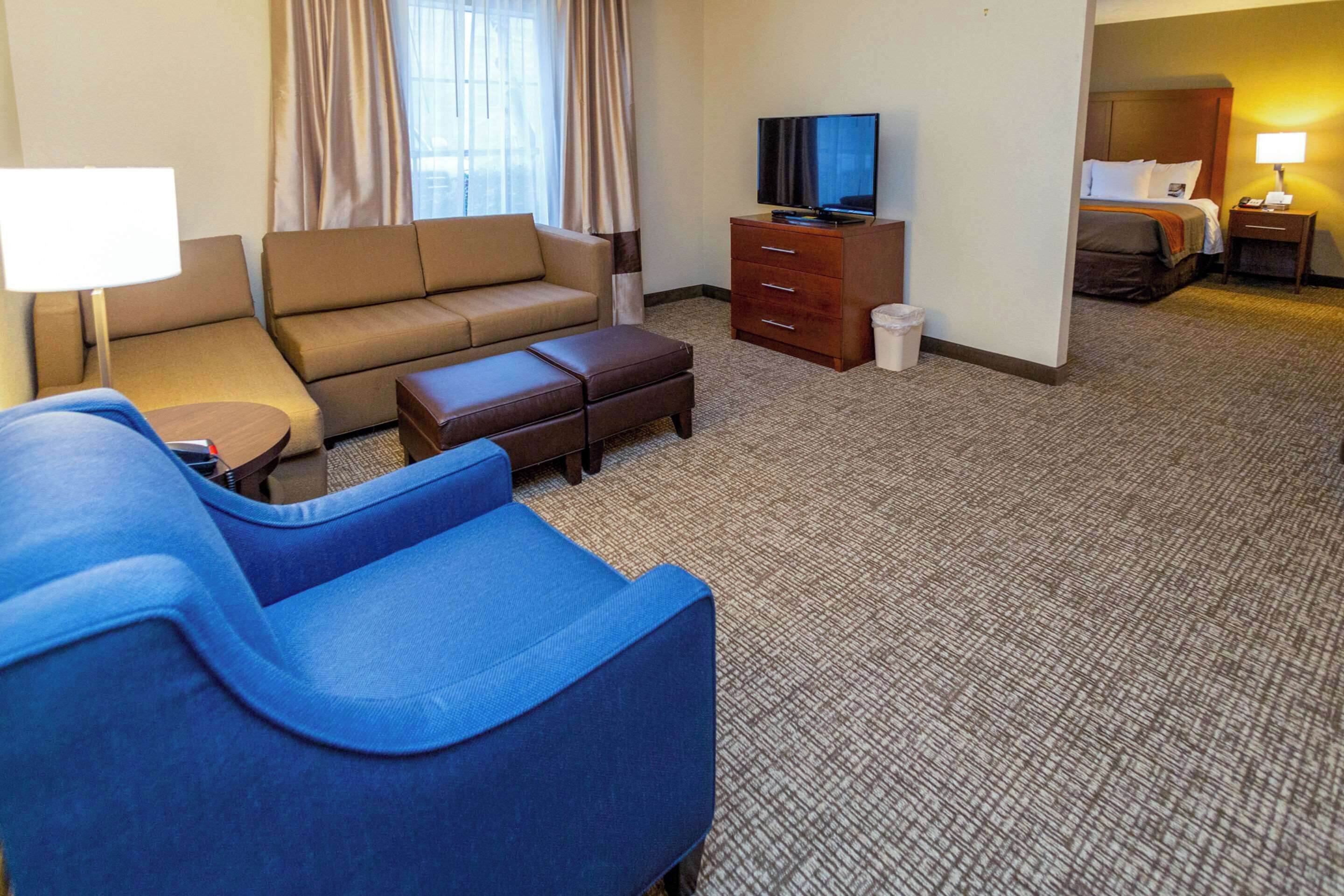 A hotel room with a sofa, a blue armchair, a TV, a desk, and a bed.