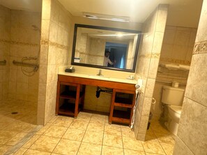 Combined shower/bathtub, free toiletries, hair dryer, towels