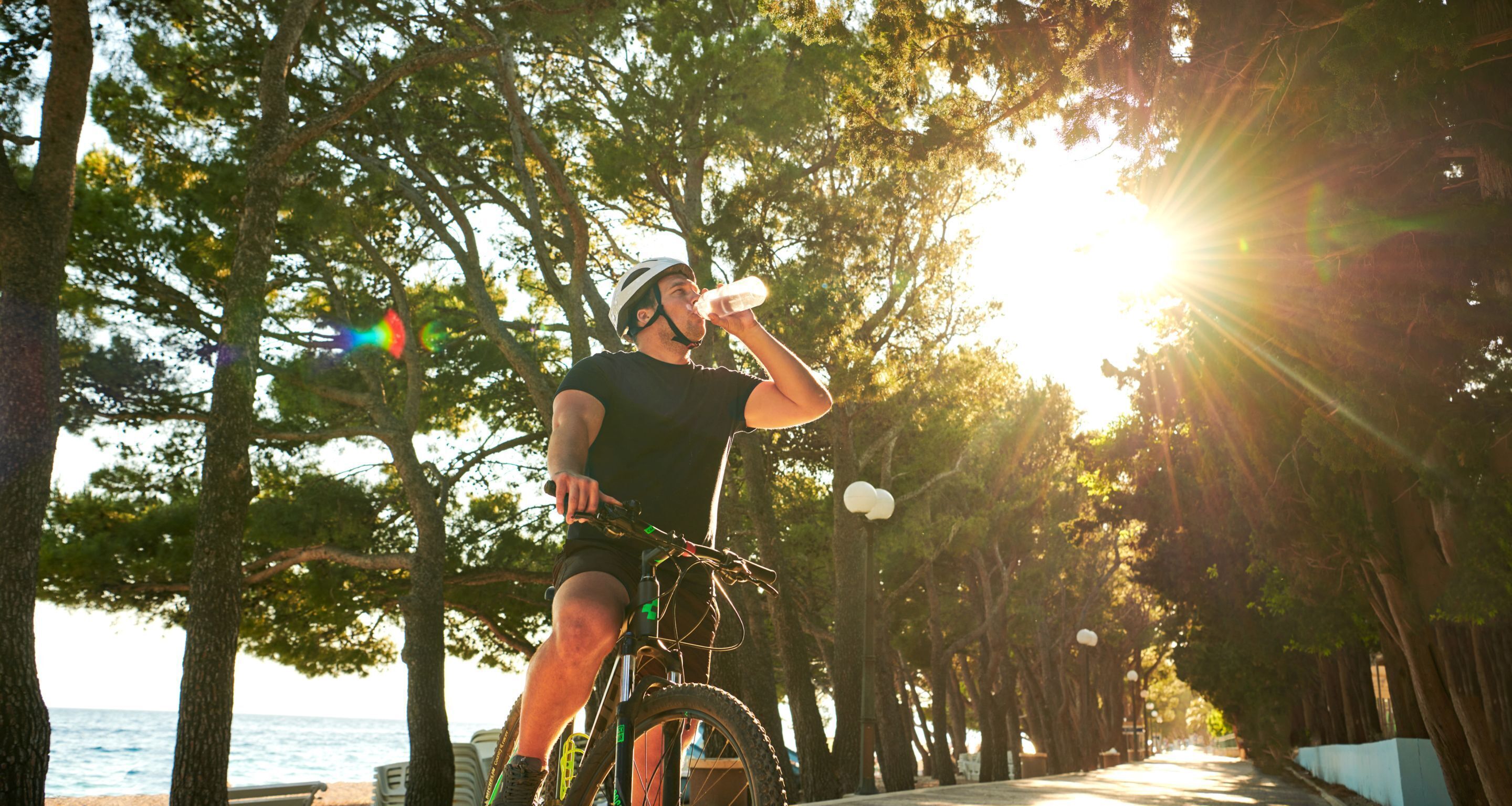 Une personne fait du vélo sur un chemin bordé d’arbres, et le soleil filtre à travers les branches.