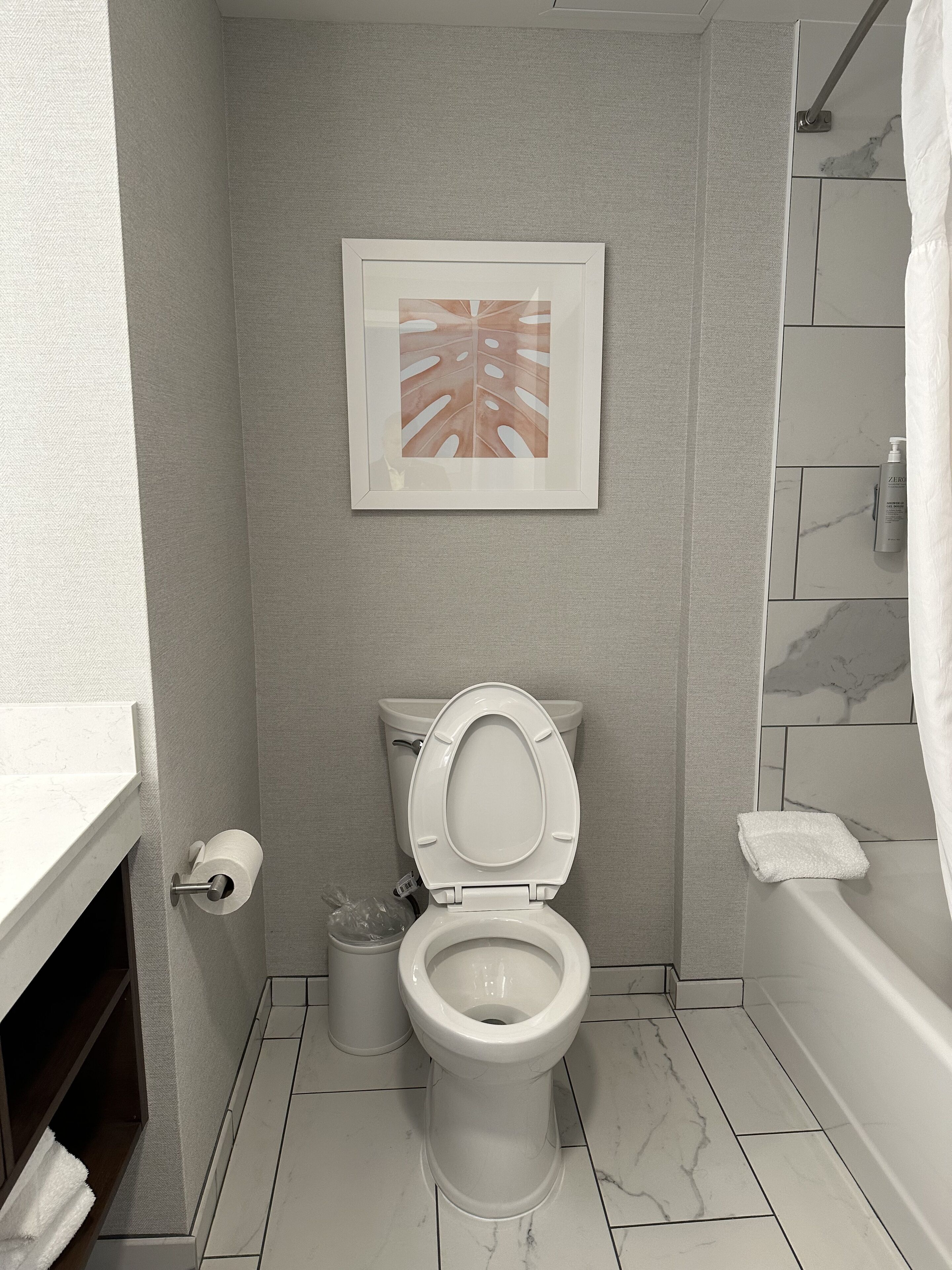 A bathroom with a toilet, a framed picture on the wall, a roll of toilet paper, and a towel on the floor.
